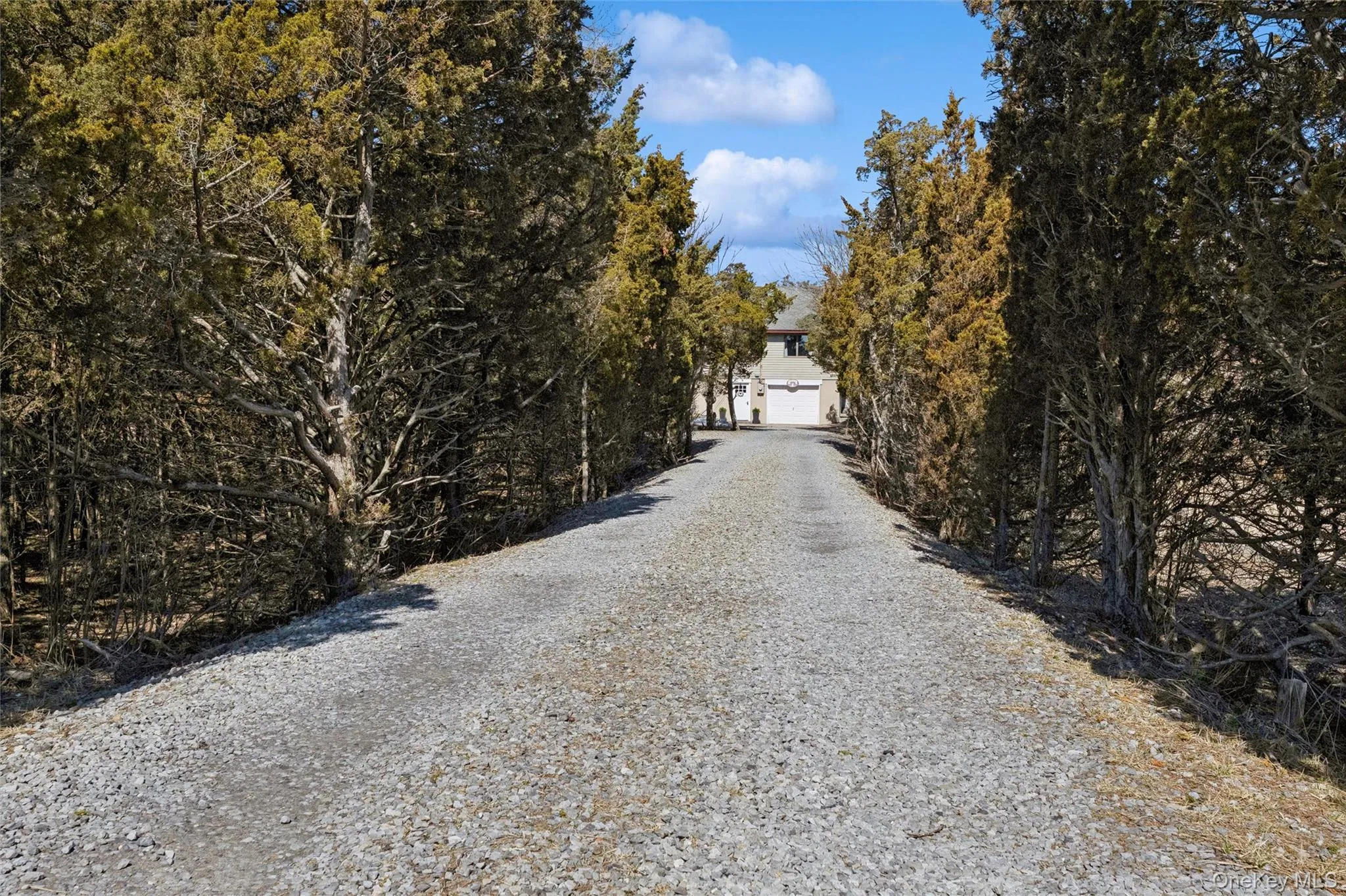 private driveway nestled in the cedar grove brings you to house and parking private driveway nestled in the cedar grove brings you to house and parking