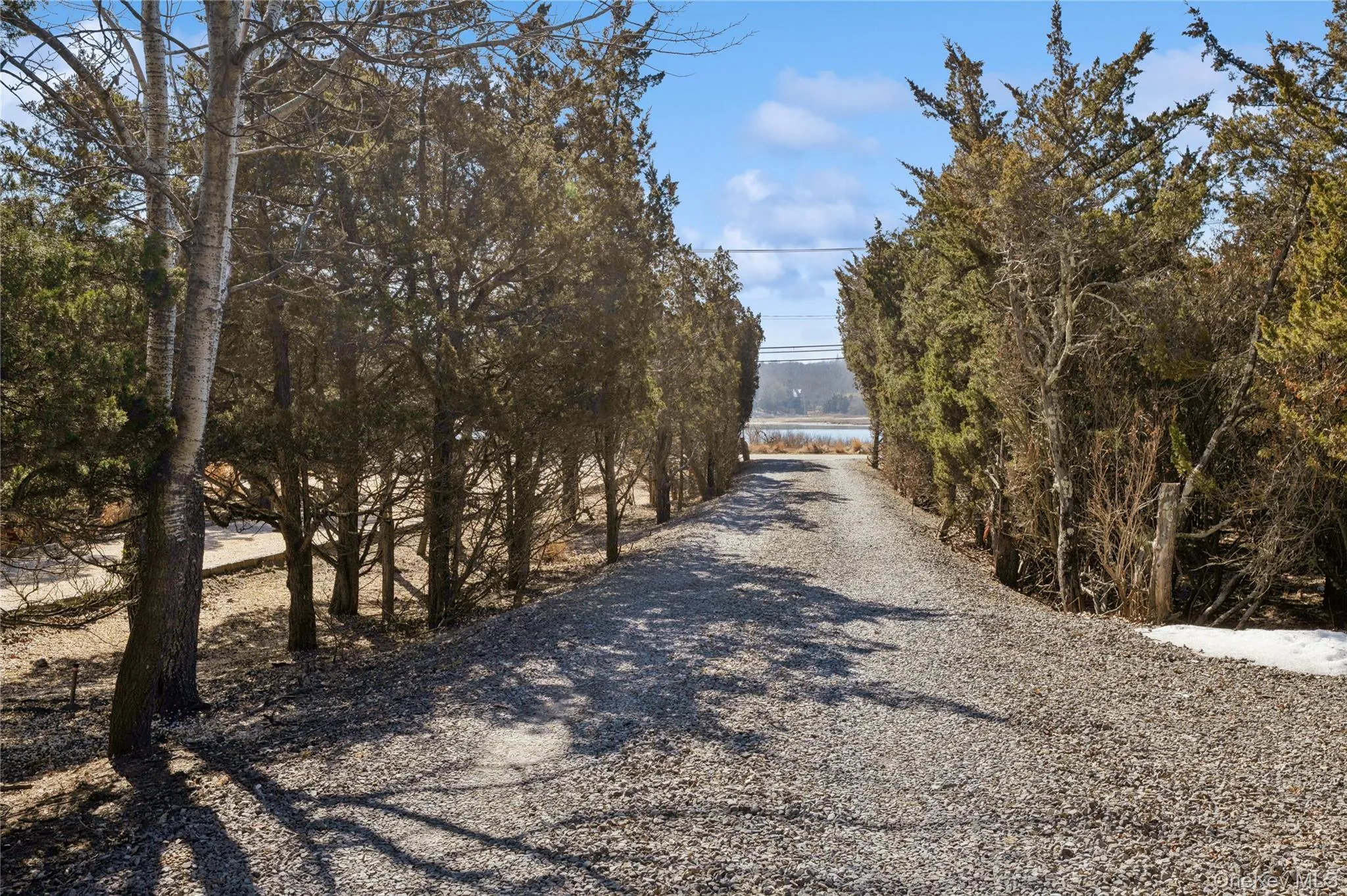 privacy awaits down long driveway to road and harbor privacy awaits down long driveway to road and harbor