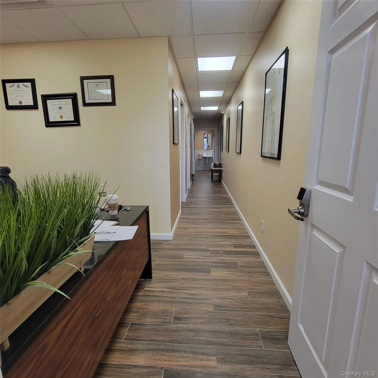 230 Meadow Avenue, Hempstead, NY, ,Commercial Lease,For Rent,Meadow,0,957540 230 Meadow Avenue, Hempstead, NY, ,Commercial Lease,For Rent,Meadow,0,957540