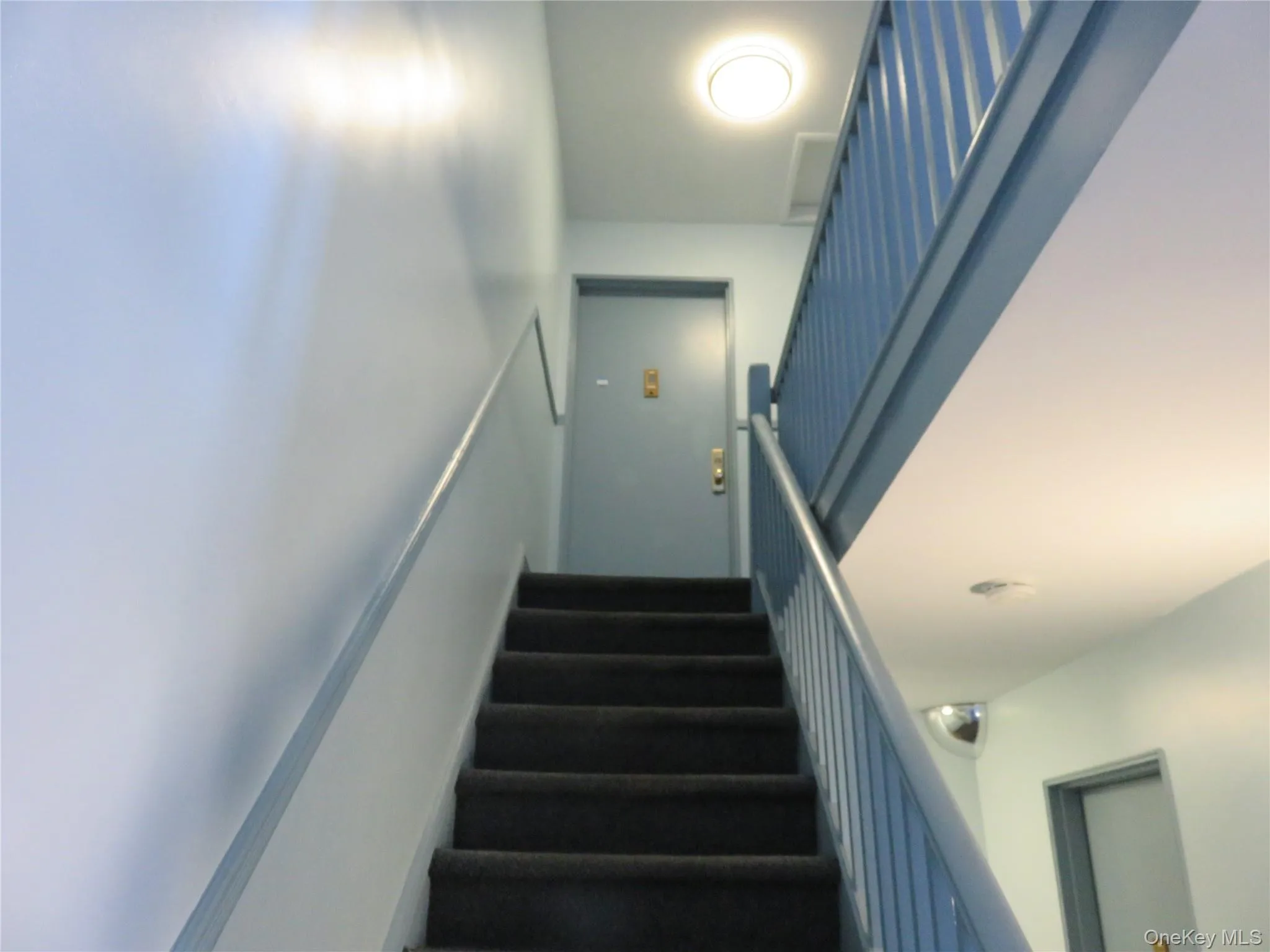 7 Winchester Avenue, Yonkers, NY, 2 Bedrooms Bedrooms, 4 Rooms Rooms,1 BathroomBathrooms,Residential Lease,For Rent,Winchester,0,957581 7 Winchester Avenue, Yonkers, NY, 2 Bedrooms Bedrooms, 4 Rooms Rooms,1 BathroomBathrooms,Residential Lease,For Rent,Winchester,0,957581