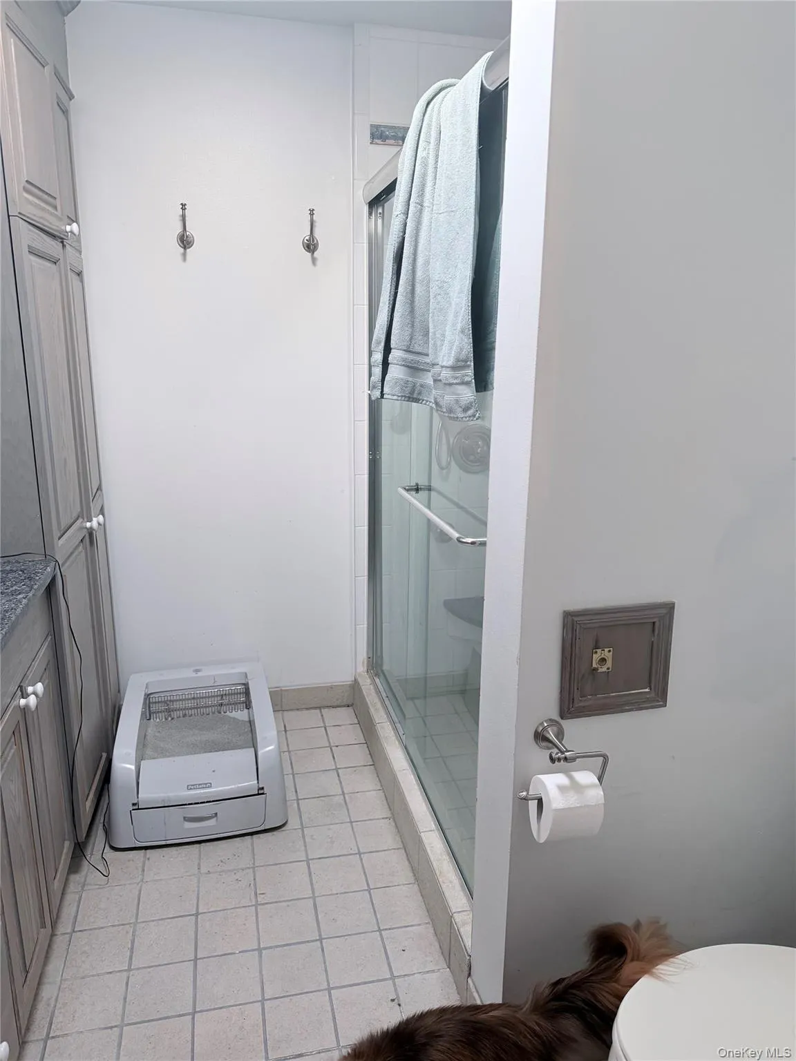 30 Doctor Drive, Mamakating, NY, 3 Bedrooms Bedrooms, 9 Rooms Rooms,2 BathroomsBathrooms,Residential Lease,For Rent,Doctor,0,957873 30 Doctor Drive, Mamakating, NY, 3 Bedrooms Bedrooms, 9 Rooms Rooms,2 BathroomsBathrooms,Residential Lease,For Rent,Doctor,0,957873