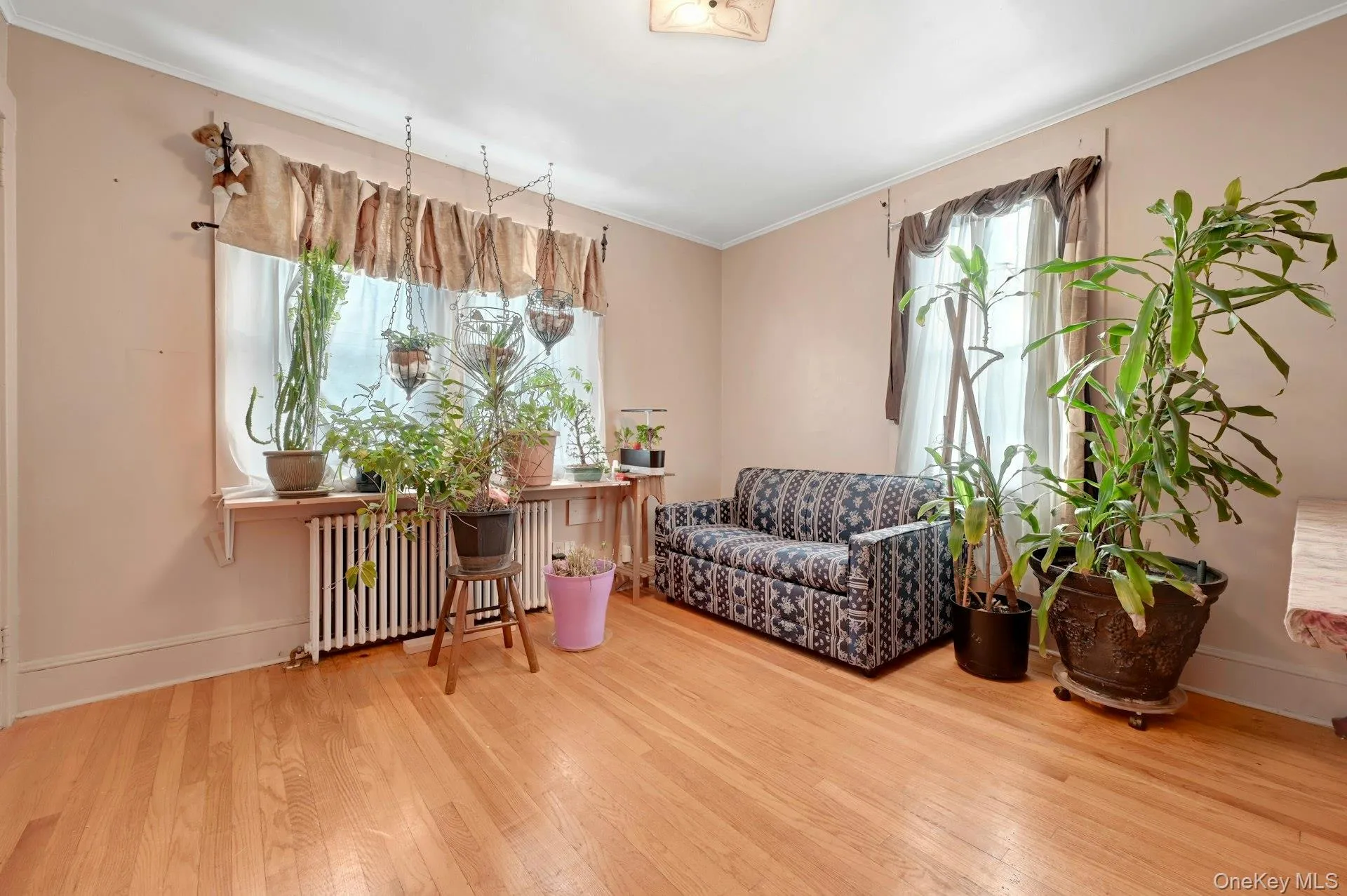 42 Williams Avenue, Ramapo, NY, 4 Bedrooms Bedrooms, 8 Rooms Rooms,1 BathroomBathrooms,Residential Lease,For Rent,Williams,0,957905 42 Williams Avenue, Ramapo, NY, 4 Bedrooms Bedrooms, 8 Rooms Rooms,1 BathroomBathrooms,Residential Lease,For Rent,Williams,0,957905