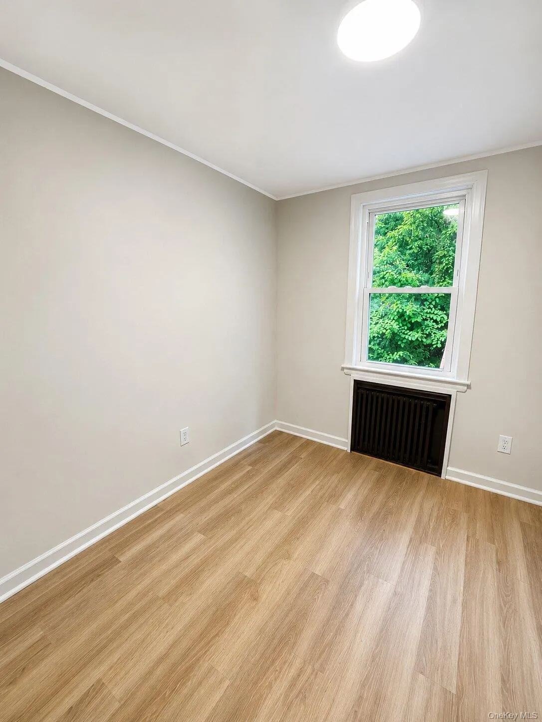 63 Elm Street, New York, NY, 3 Bedrooms Bedrooms, 7 Rooms Rooms,1 BathroomBathrooms,Residential Lease,For Rent,Elm Street,0,957919 63 Elm Street, New York, NY, 3 Bedrooms Bedrooms, 7 Rooms Rooms,1 BathroomBathrooms,Residential Lease,For Rent,Elm Street,0,957919