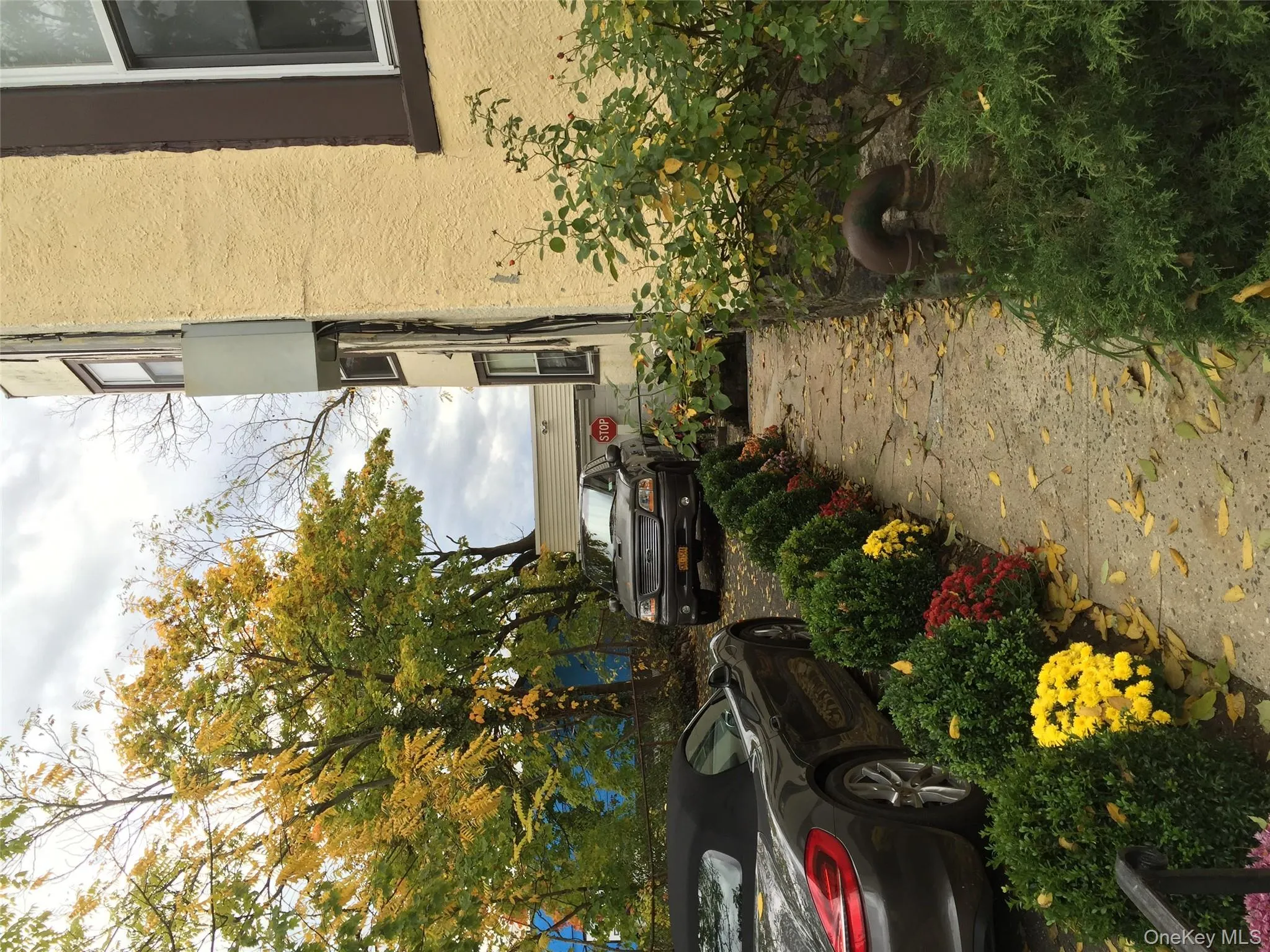 26 Coligni Avenue, New Rochelle, NY, 3 Bedrooms Bedrooms, 6 Rooms Rooms,1 BathroomBathrooms,Residential Lease,For Rent,Coligni,0,958114 26 Coligni Avenue, New Rochelle, NY, 3 Bedrooms Bedrooms, 6 Rooms Rooms,1 BathroomBathrooms,Residential Lease,For Rent,Coligni,0,958114