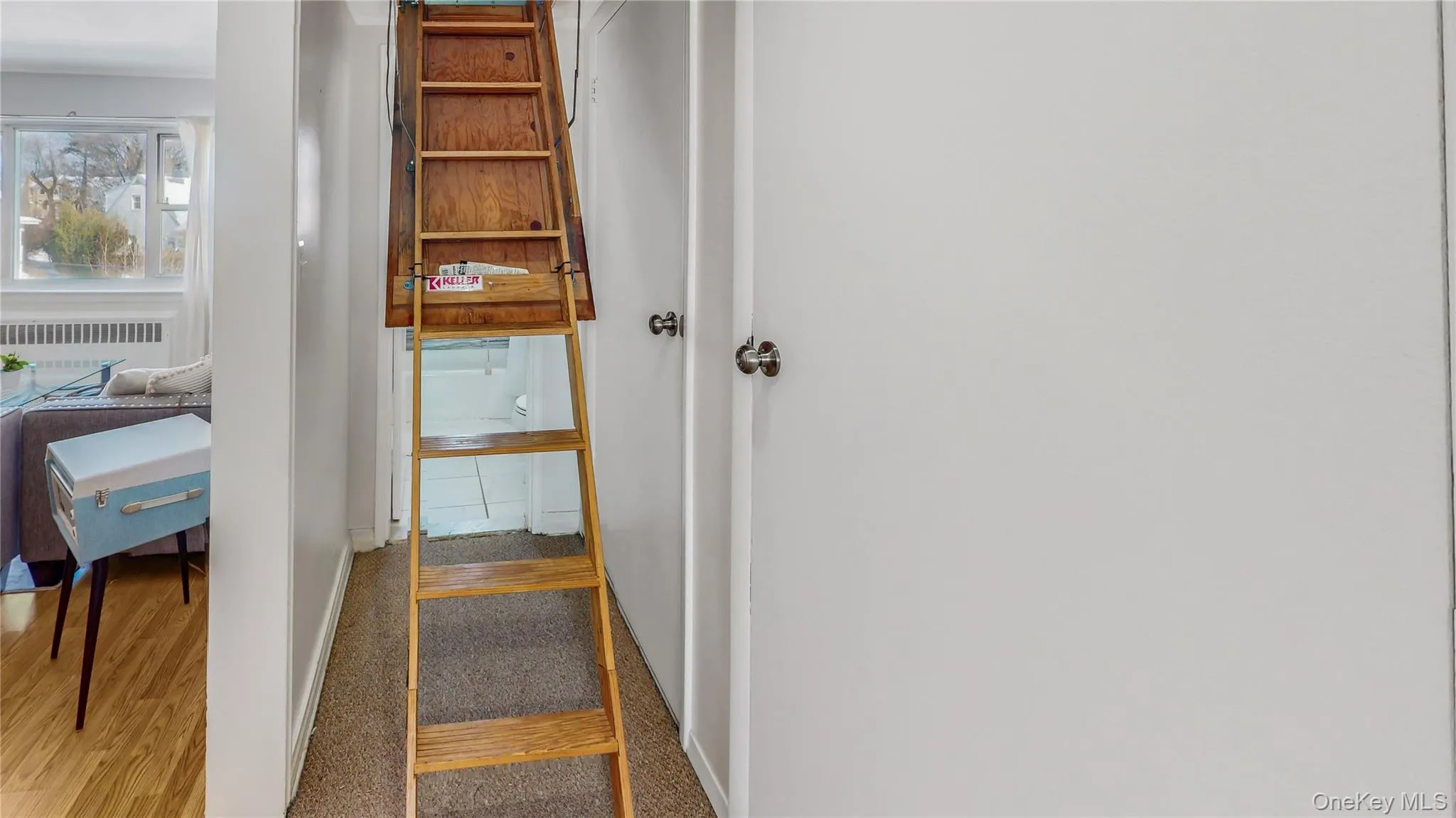198-18 Pompeii Avenue, New York, NY, 1 Bedroom Bedrooms, 3 Rooms Rooms,1 BathroomBathrooms,Residential,For Rent,Pompeii,0,958135 198-18 Pompeii Avenue, New York, NY, 1 Bedroom Bedrooms, 3 Rooms Rooms,1 BathroomBathrooms,Residential,For Rent,Pompeii,0,958135