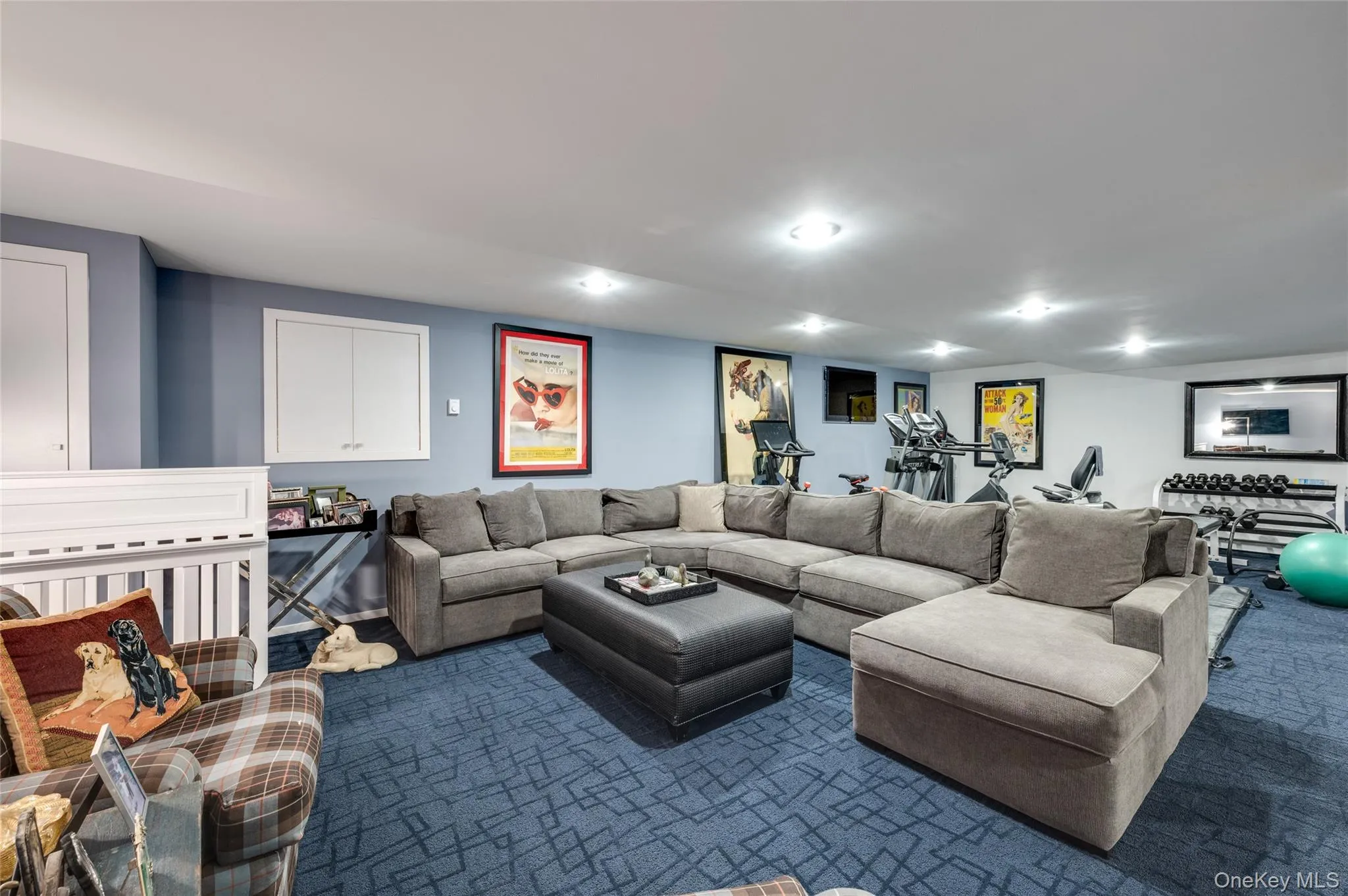 Living room featuring dark carpet Living room featuring dark carpet