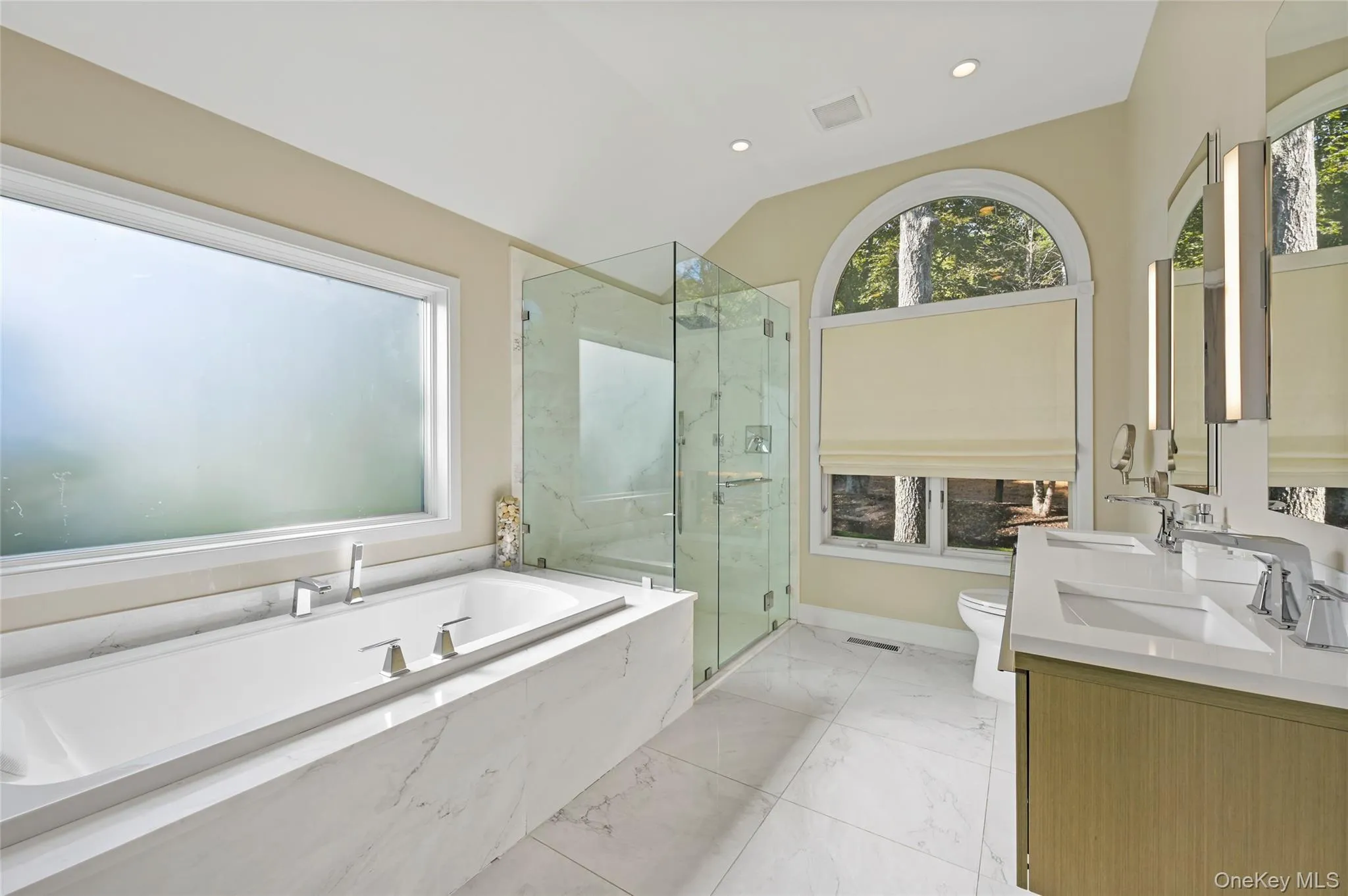 Full bathroom featuring lofted ceiling, toilet, shower with separate bathtub, and a wealth of natural light Full bathroom featuring lofted ceiling, toilet, shower with separate bathtub, and a wealth of natural light