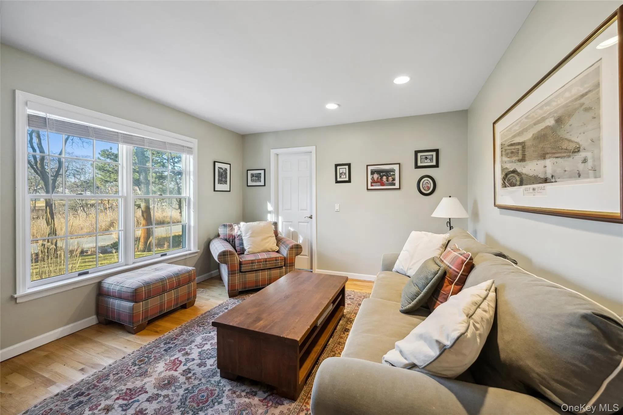 Living room featuring baseboards, wood finished floors, and recessed lighting Living room featuring baseboards, wood finished floors, and recessed lighting
