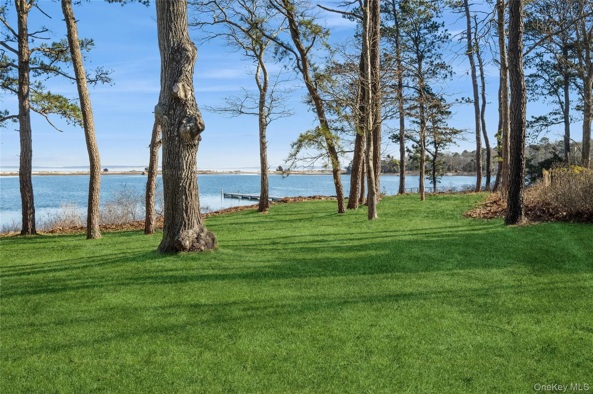 View of yard featuring a water view View of yard featuring a water view