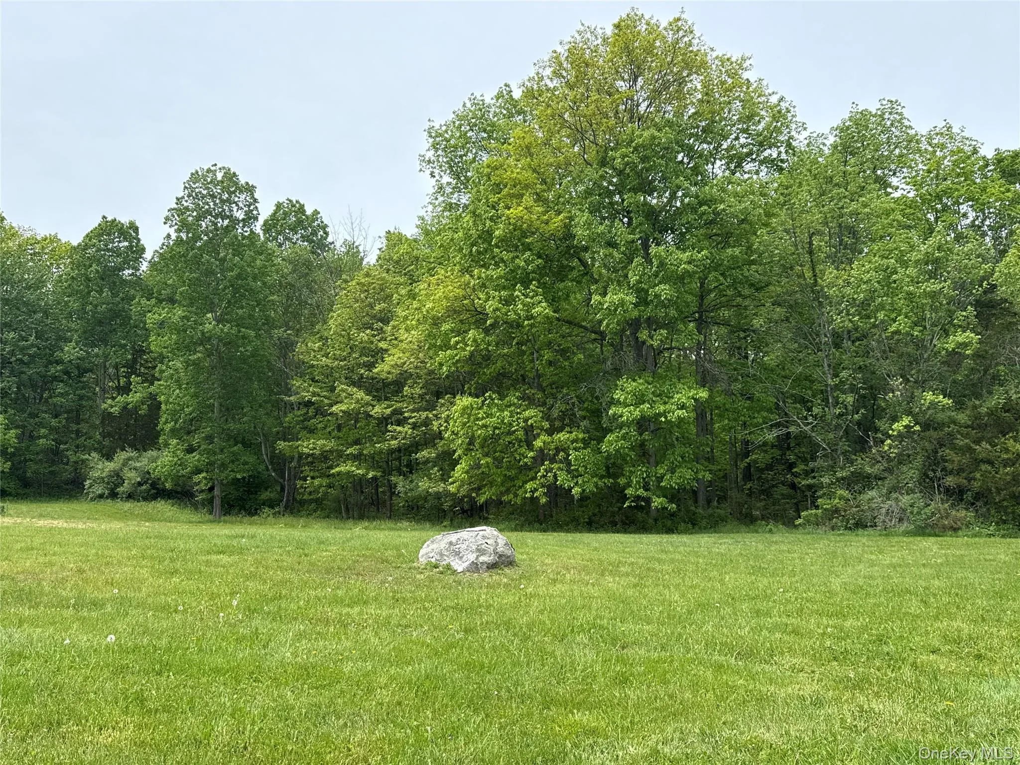 35 Appaloosa Lane, Washington, NY, 4 Bedrooms Bedrooms, 8 Rooms Rooms,3 BathroomsBathrooms,Residential,For Rent,Appaloosa,0,958442 35 Appaloosa Lane, Washington, NY, 4 Bedrooms Bedrooms, 8 Rooms Rooms,3 BathroomsBathrooms,Residential,For Rent,Appaloosa,0,958442