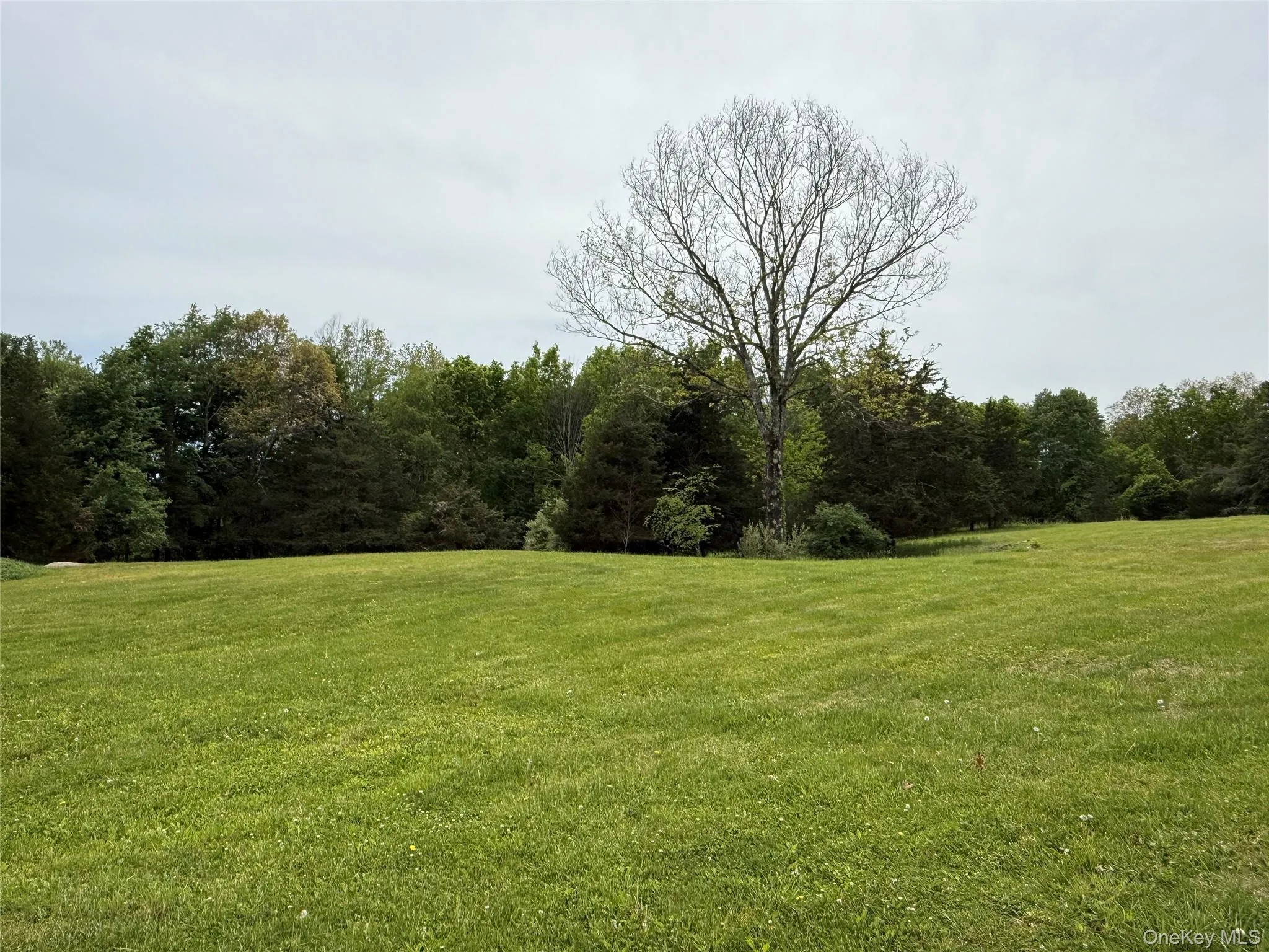 35 Appaloosa Lane, Washington, NY, 4 Bedrooms Bedrooms, 8 Rooms Rooms,3 BathroomsBathrooms,Residential,For Rent,Appaloosa,0,958442 35 Appaloosa Lane, Washington, NY, 4 Bedrooms Bedrooms, 8 Rooms Rooms,3 BathroomsBathrooms,Residential,For Rent,Appaloosa,0,958442