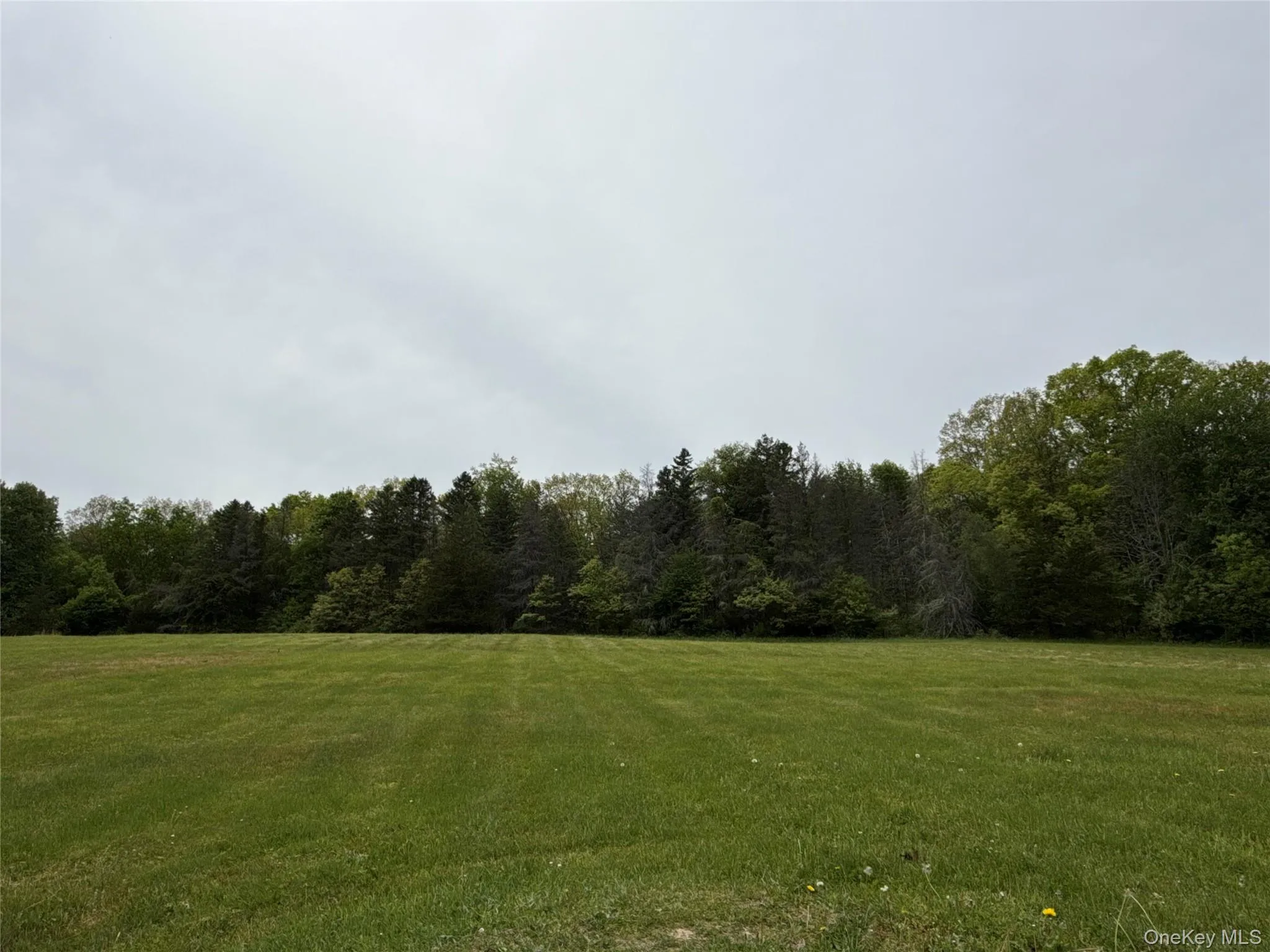 35 Appaloosa Lane, Washington, NY, 4 Bedrooms Bedrooms, 8 Rooms Rooms,3 BathroomsBathrooms,Residential,For Rent,Appaloosa,0,958442 35 Appaloosa Lane, Washington, NY, 4 Bedrooms Bedrooms, 8 Rooms Rooms,3 BathroomsBathrooms,Residential,For Rent,Appaloosa,0,958442
