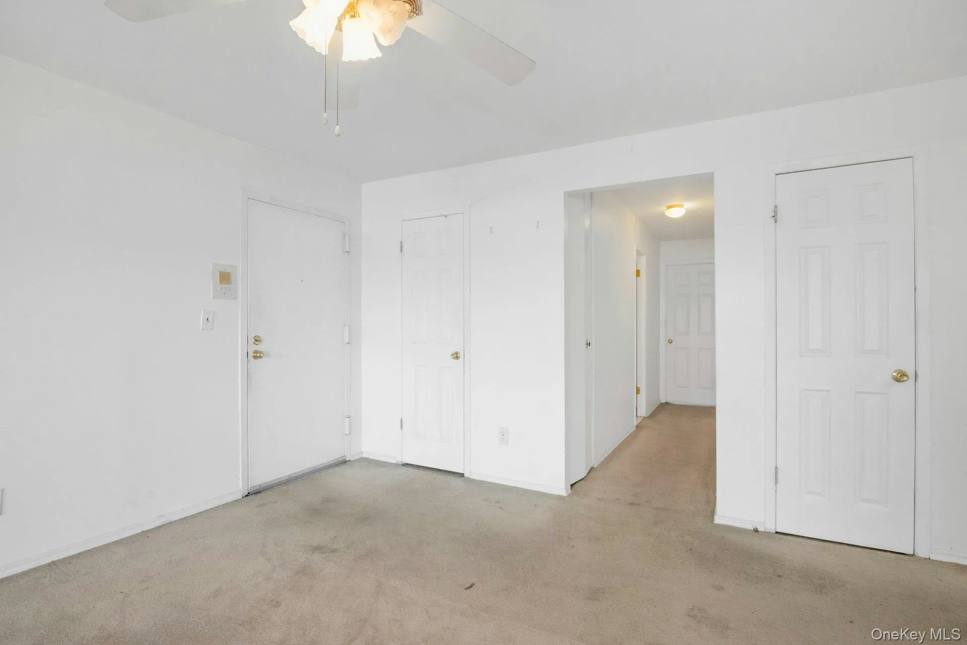 Entrance closet and pantry closet Entrance closet and pantry closet
