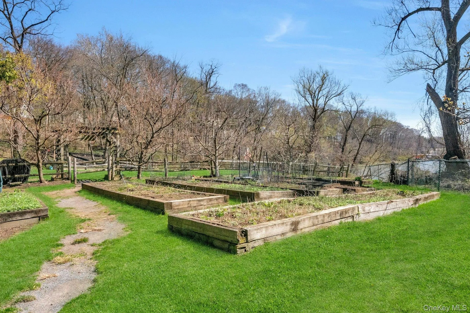 Vegetable Garden Vegetable Garden