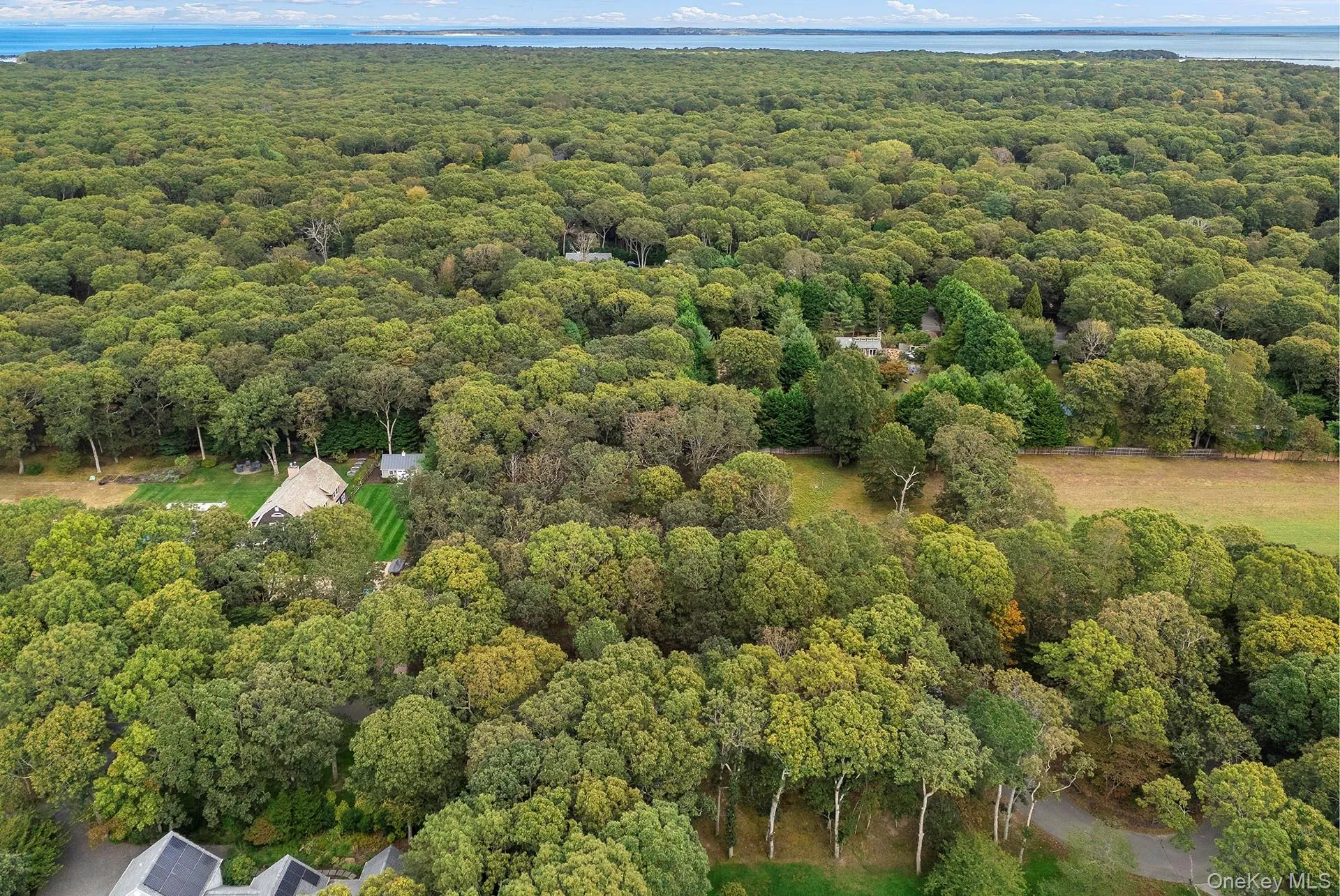 43 Briarcroft Drive, East Hampton, NY, ,Land,For Rent,Briarcroft,0,958578 43 Briarcroft Drive, East Hampton, NY, ,Land,For Rent,Briarcroft,0,958578
