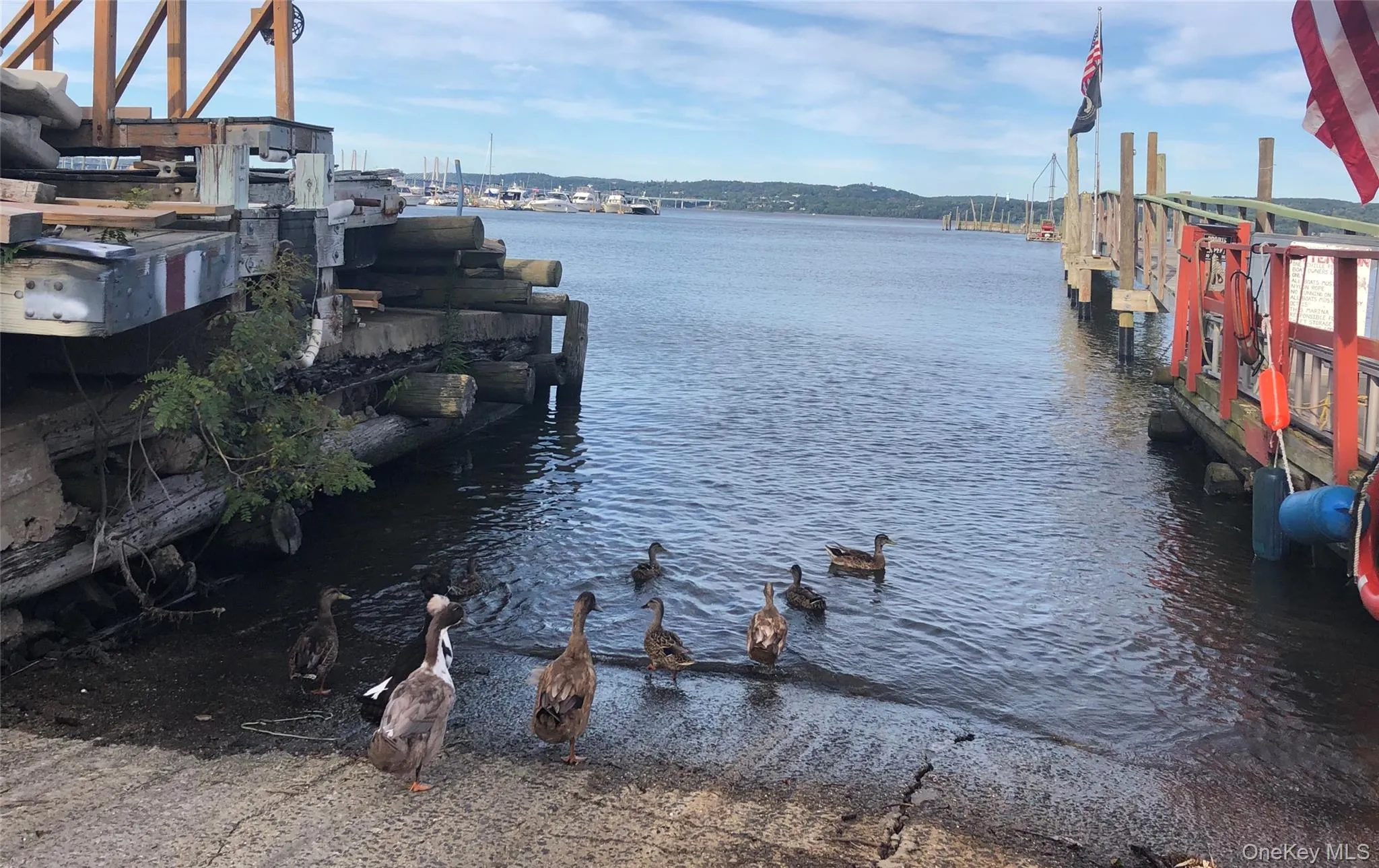 2 Lawrence Park Drive, Orangetown, NY, 2 Bedrooms Bedrooms, 5 Rooms Rooms,1 BathroomBathrooms,Residential Lease,For Rent,Lawrence Park,0,958598 2 Lawrence Park Drive, Orangetown, NY, 2 Bedrooms Bedrooms, 5 Rooms Rooms,1 BathroomBathrooms,Residential Lease,For Rent,Lawrence Park,0,958598