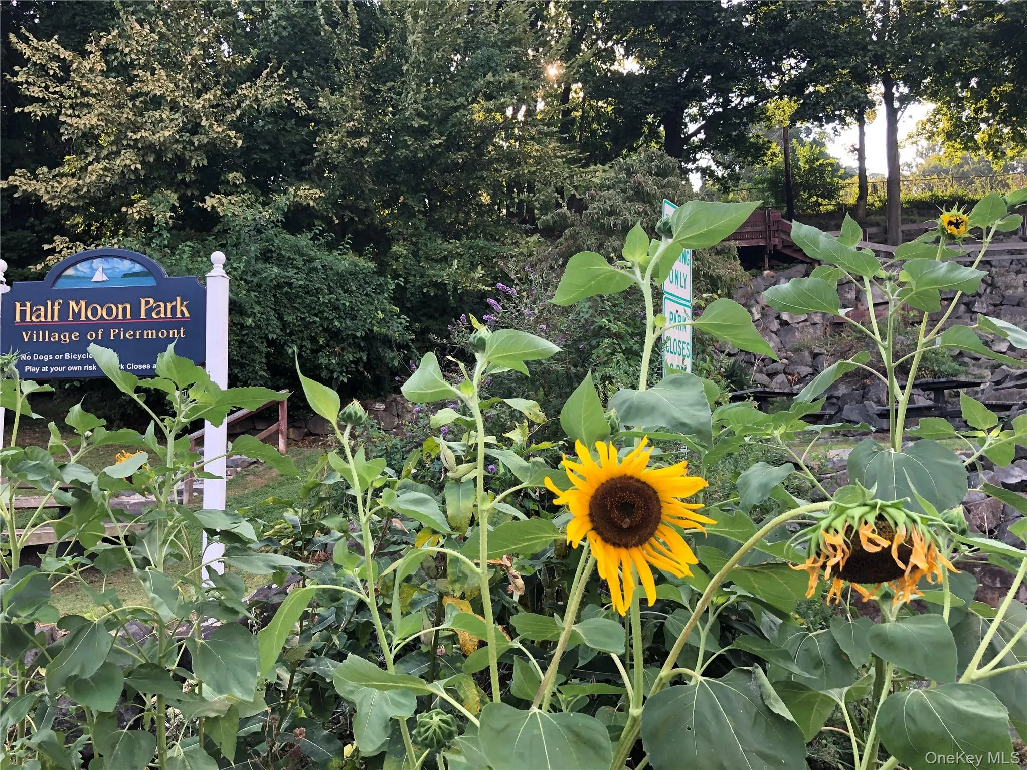 PARKS AND PIER PARKS AND PIER