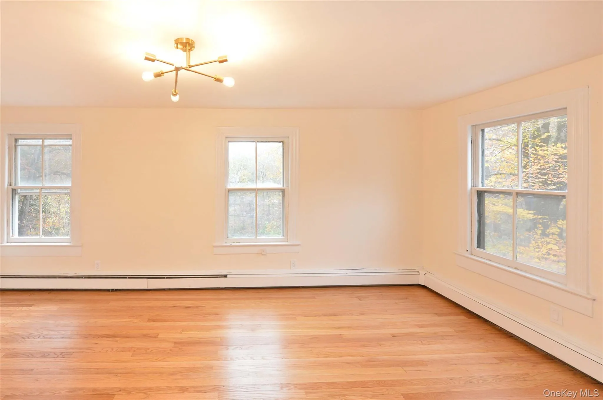 Unfurnished room featuring baseboard heating, light wood-style floors, a chandelier, and a baseboard heating unit Unfurnished room featuring baseboard heating, light wood-style floors, a chandelier, and a baseboard heating unit