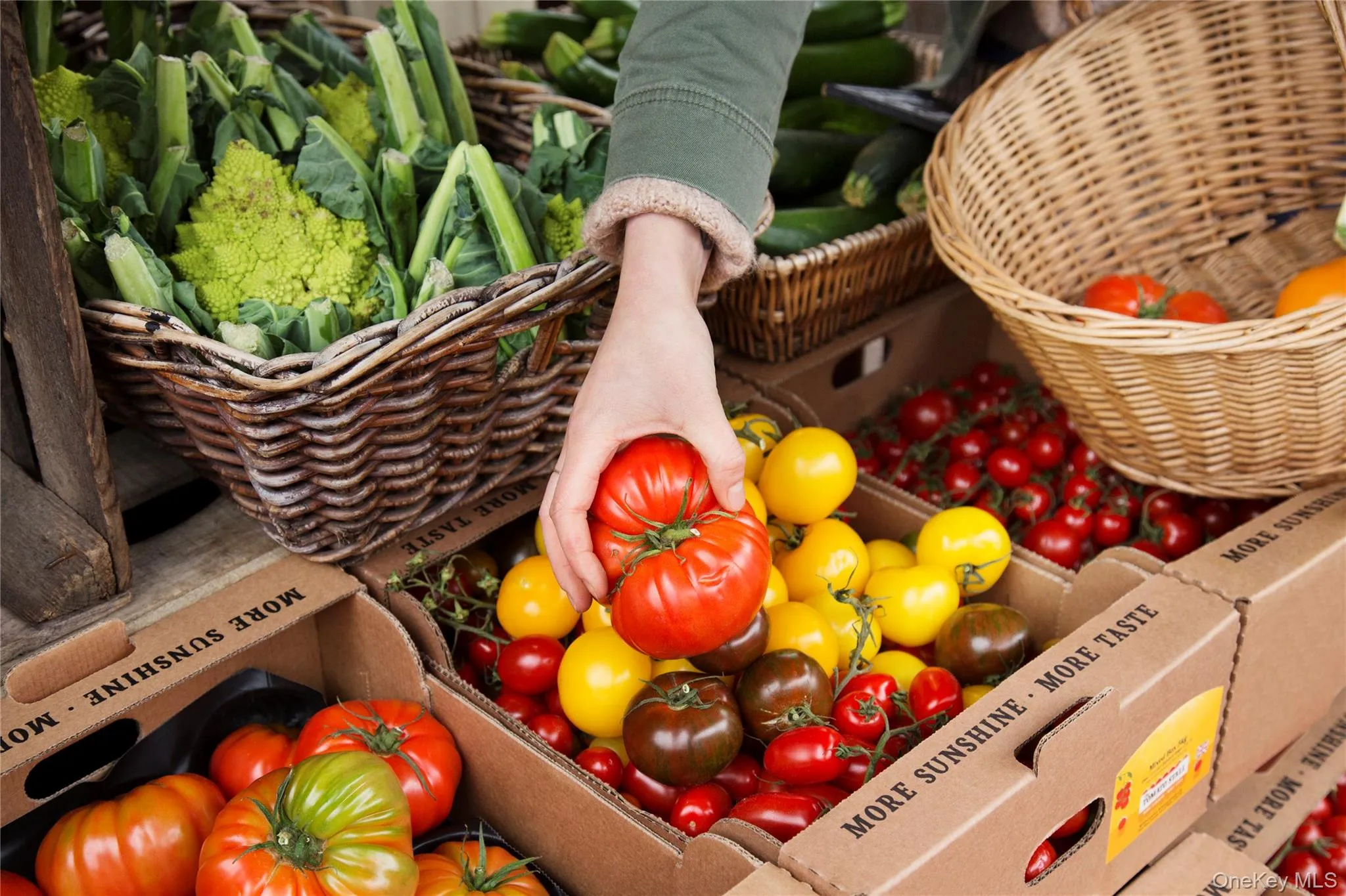 Local farmstands including organic HOG Farm, Early Girl Farm and Deer Run Farm Local farmstands including organic HOG Farm, Early Girl Farm and Deer Run Farm
