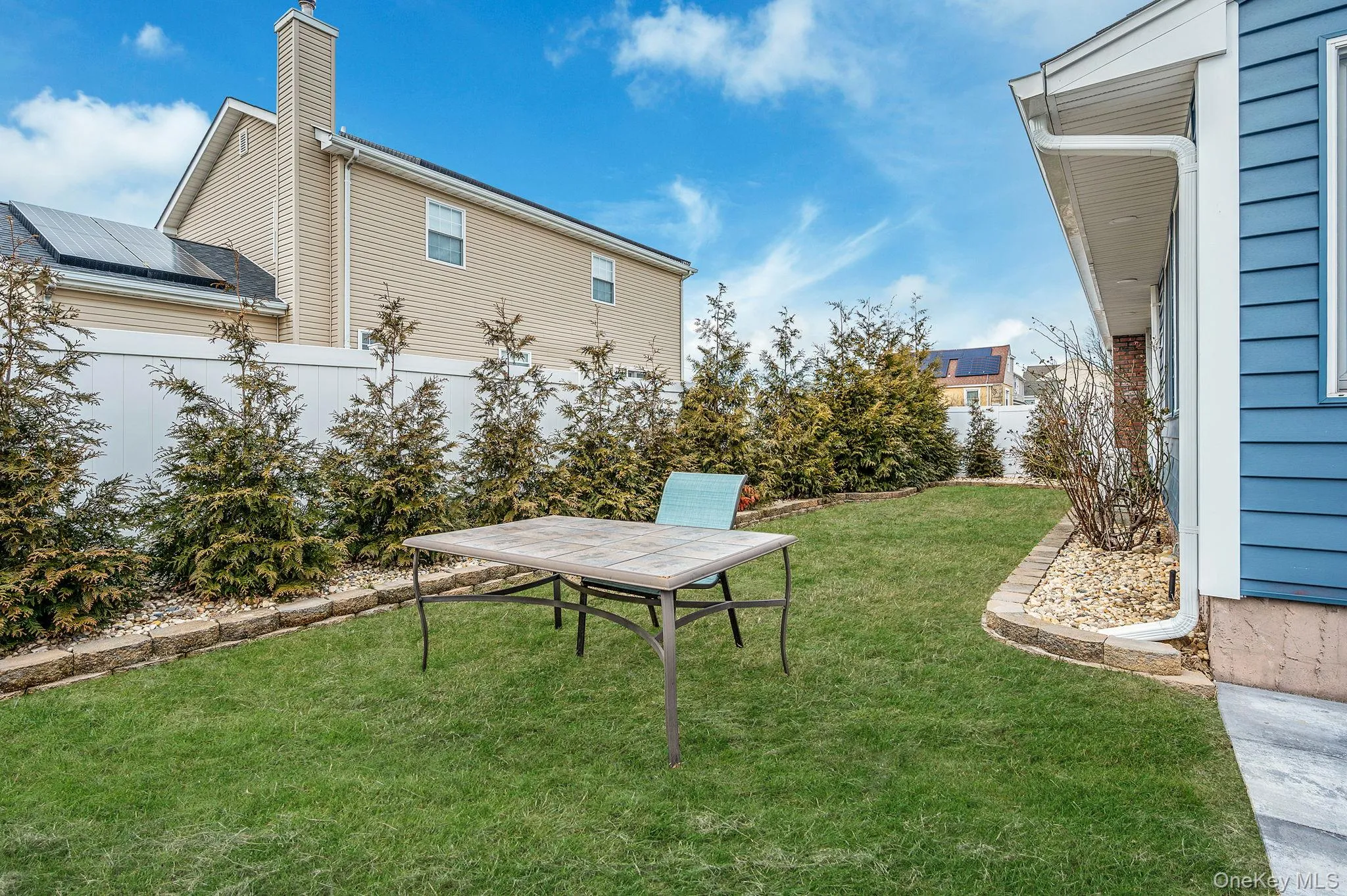 New Arborvitae Trees - around backyard. very private New Arborvitae Trees - around backyard. very private