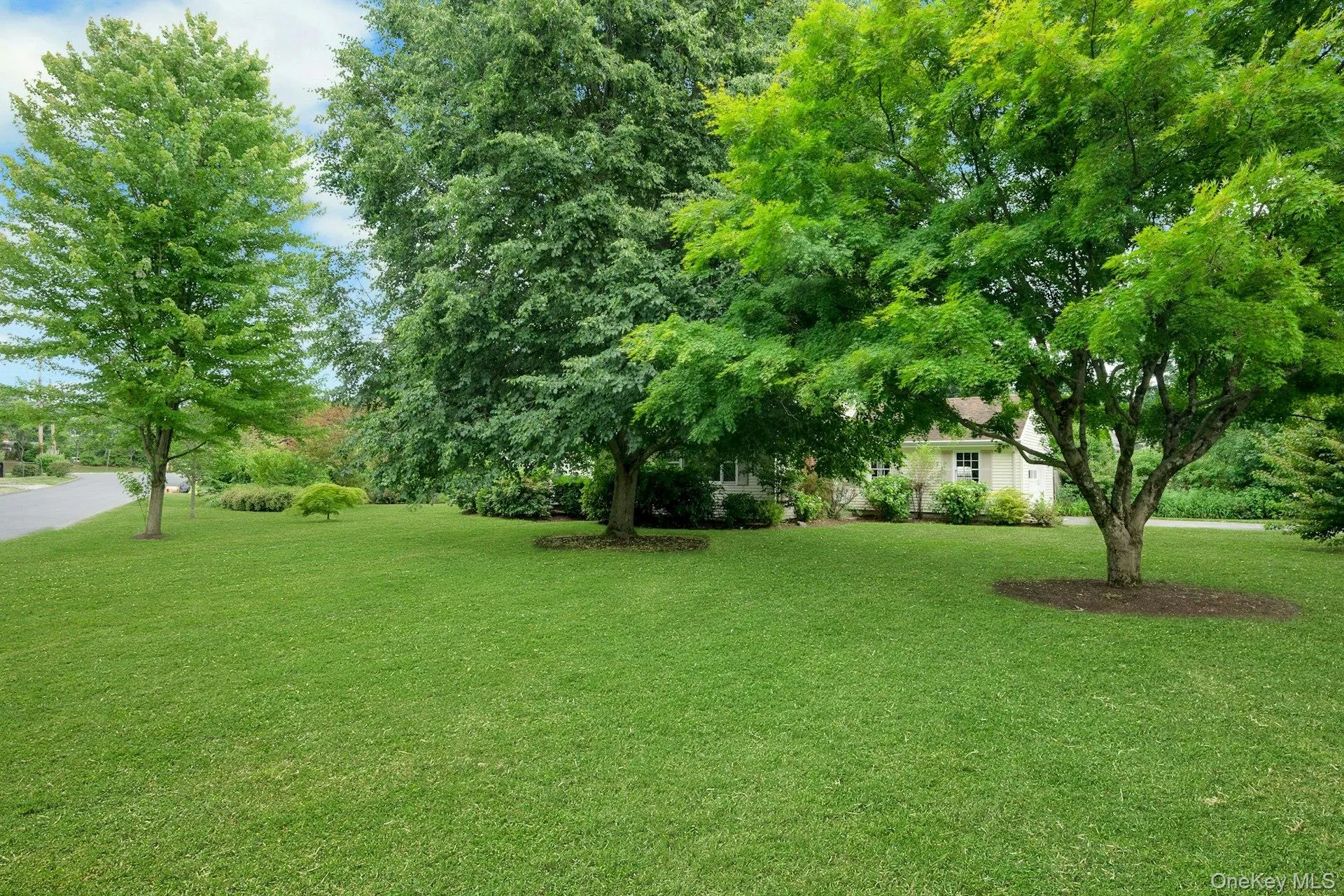 29 Old Orchard Road, Rye Town, NY, 4 Bedrooms Bedrooms, 7 Rooms Rooms,2 BathroomsBathrooms,Residential Lease,For Rent,Old Orchard,0,958826 29 Old Orchard Road, Rye Town, NY, 4 Bedrooms Bedrooms, 7 Rooms Rooms,2 BathroomsBathrooms,Residential Lease,For Rent,Old Orchard,0,958826