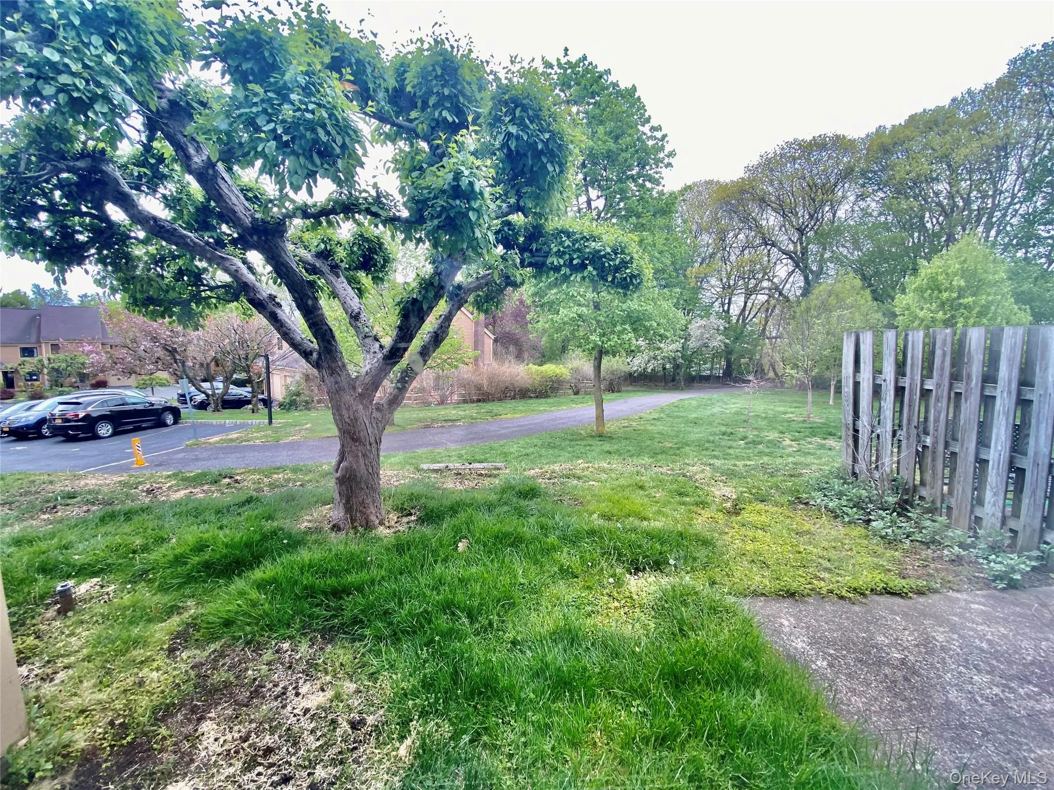 75 Greenway Close, Rye Town, NY, 3 Bedrooms Bedrooms, 7 Rooms Rooms,2 BathroomsBathrooms,Residential Lease,For Rent,Greenway Close,0,958888 75 Greenway Close, Rye Town, NY, 3 Bedrooms Bedrooms, 7 Rooms Rooms,2 BathroomsBathrooms,Residential Lease,For Rent,Greenway Close,0,958888