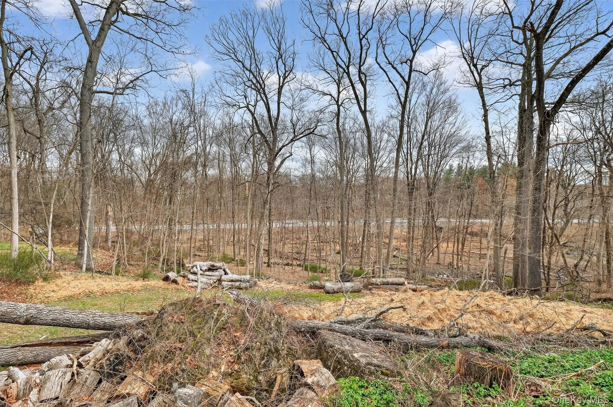 24 Pellbridge Drive, East Fishkill, NY, 3 Bedrooms Bedrooms, 13 Rooms Rooms,3 BathroomsBathrooms,Residential,For Rent,Pellbridge,0,959005 24 Pellbridge Drive, East Fishkill, NY, 3 Bedrooms Bedrooms, 13 Rooms Rooms,3 BathroomsBathrooms,Residential,For Rent,Pellbridge,0,959005