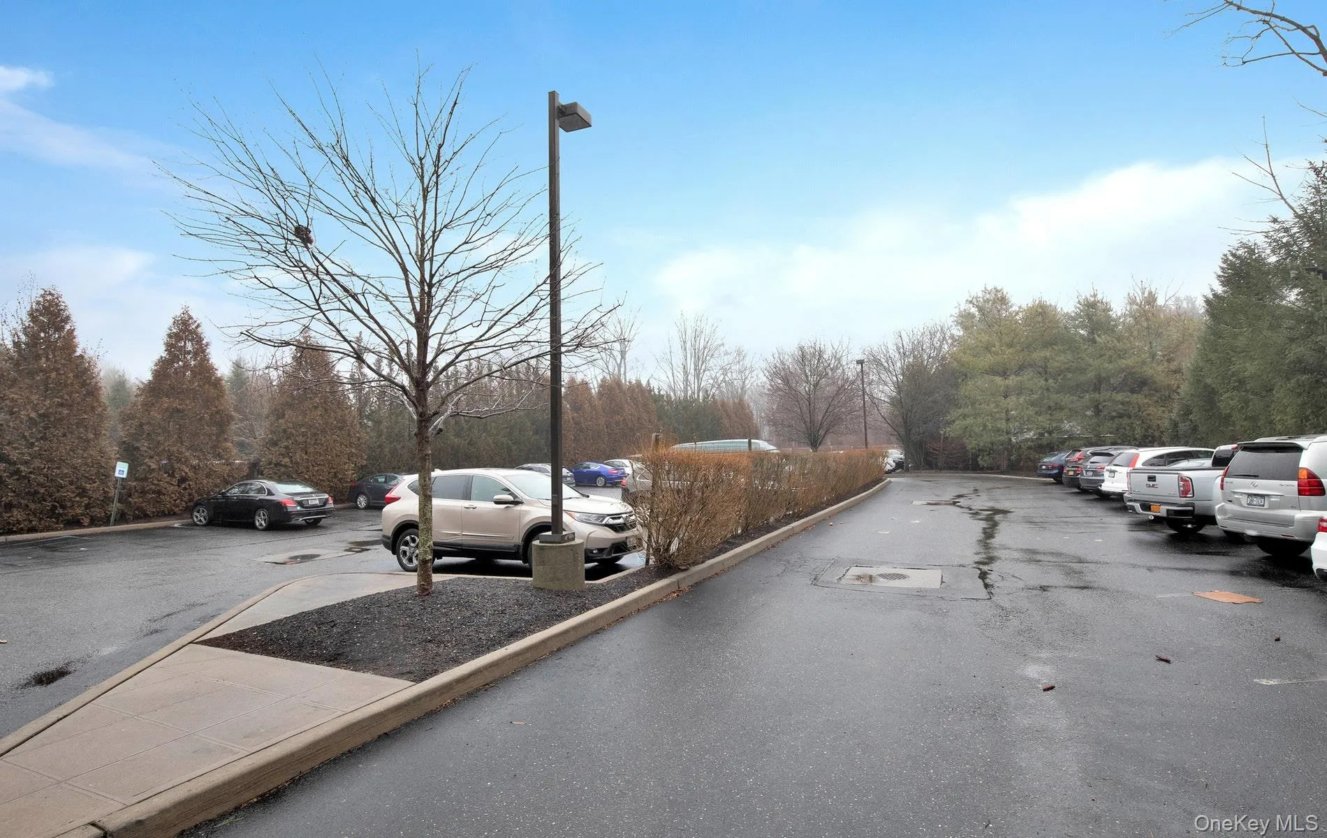 214 Wall Street, Huntington, NY, ,Commercial Lease,For Rent,Wall,0,959093 214 Wall Street, Huntington, NY, ,Commercial Lease,For Rent,Wall,0,959093