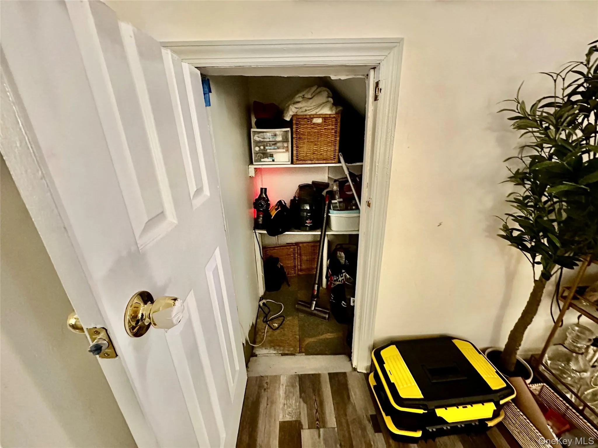 137 Meserole Street, New York, NY, 1 Bedroom Bedrooms, 3 Rooms Rooms,1 BathroomBathrooms,Residential Lease,For Rent,Meserole,0,959132 137 Meserole Street, New York, NY, 1 Bedroom Bedrooms, 3 Rooms Rooms,1 BathroomBathrooms,Residential Lease,For Rent,Meserole,0,959132