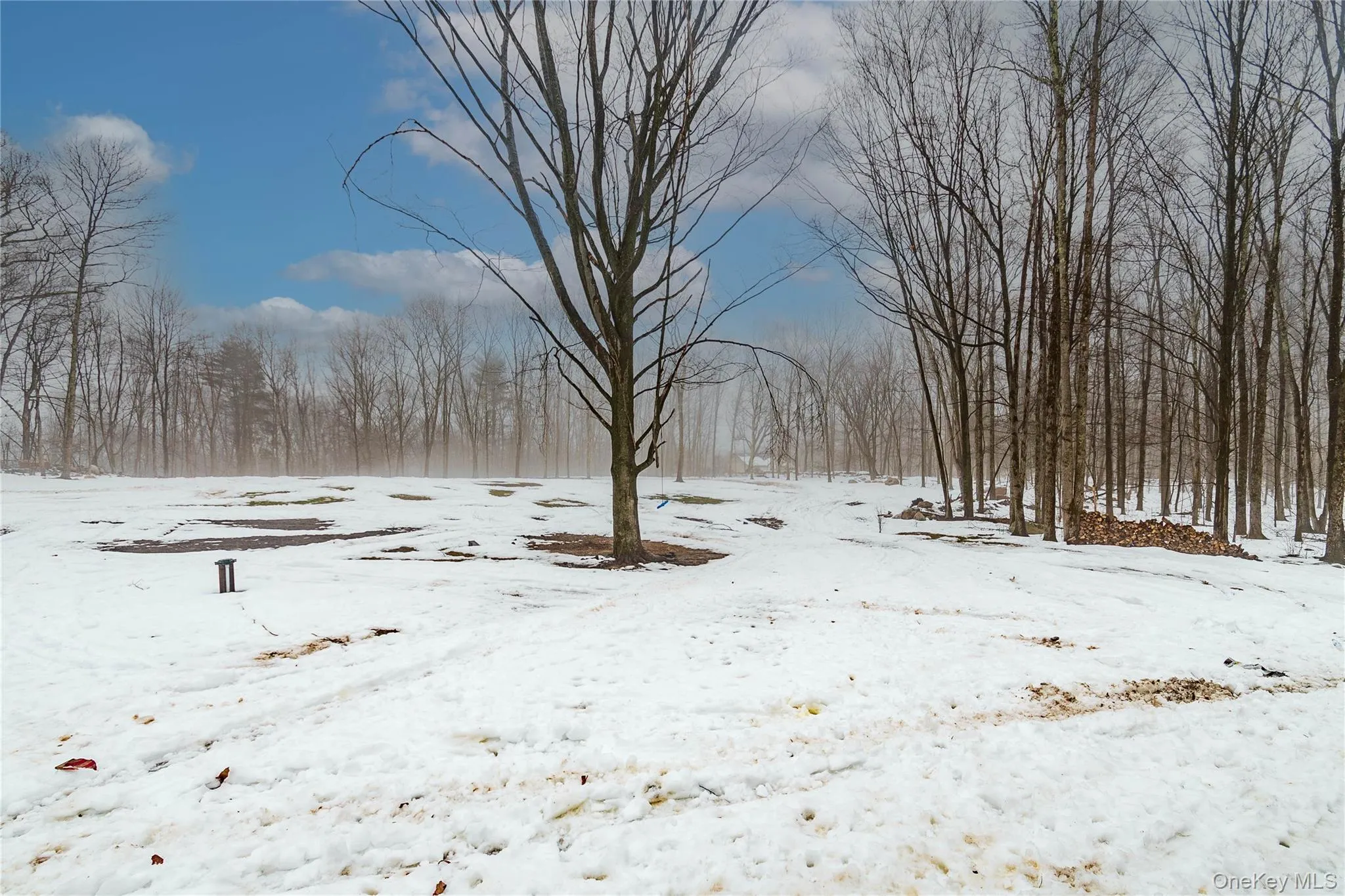 4 Lewis Lane, Mamakating, NY, 4 Bedrooms Bedrooms, 9 Rooms Rooms,2 BathroomsBathrooms,Residential Sale,For Rent,Lewis,0,959143 4 Lewis Lane, Mamakating, NY, 4 Bedrooms Bedrooms, 9 Rooms Rooms,2 BathroomsBathrooms,Residential Sale,For Rent,Lewis,0,959143