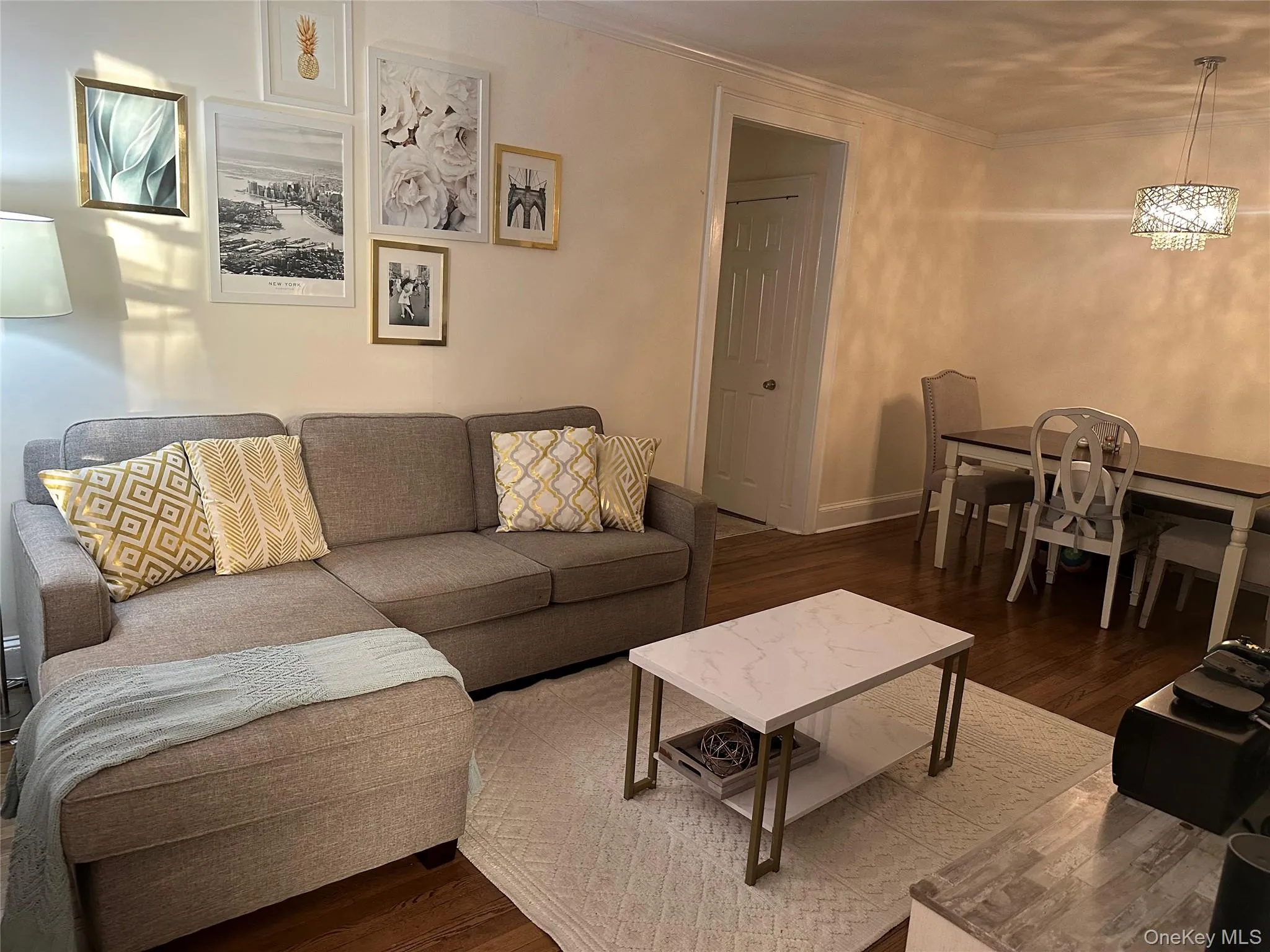 Living room with a chandelier, dark hardwood / wood-style floors, and ornamental molding Living room with a chandelier, dark hardwood / wood-style floors, and ornamental molding