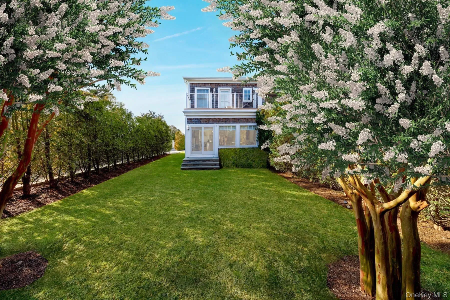 Crepe Myrtle Foliage Digitally Added Crepe Myrtle Foliage Digitally Added
