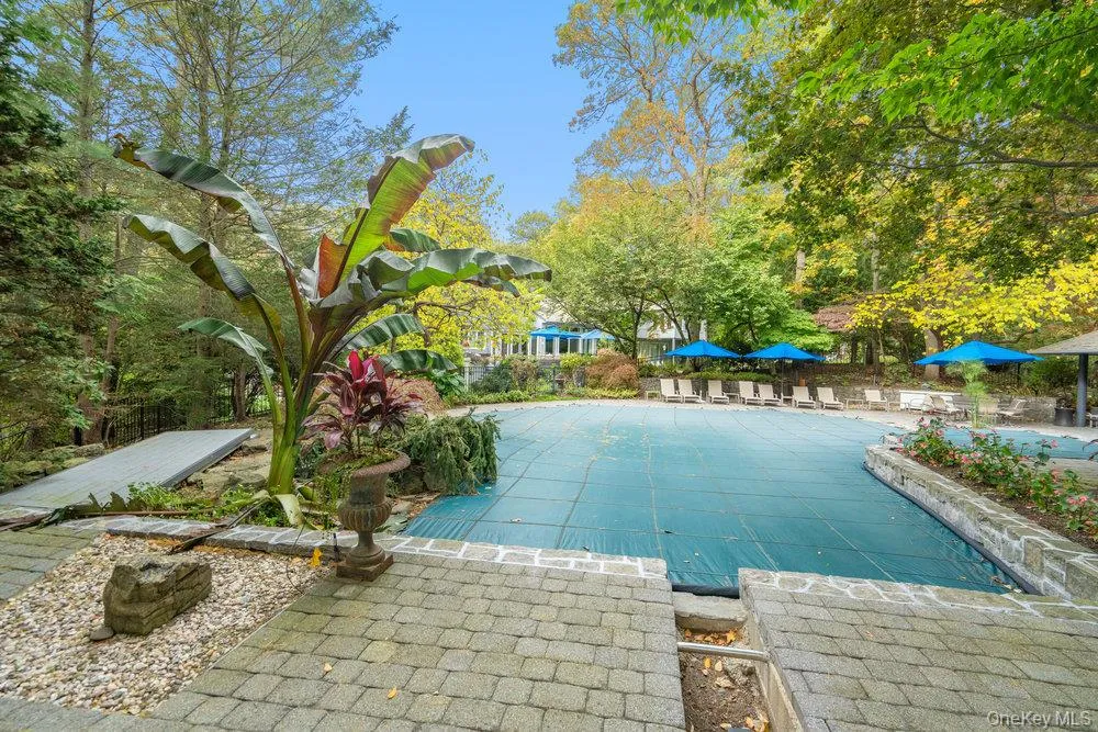 View of gunite saltwater pool with spa and multiple specimen plantings View of gunite saltwater pool with spa and multiple specimen plantings