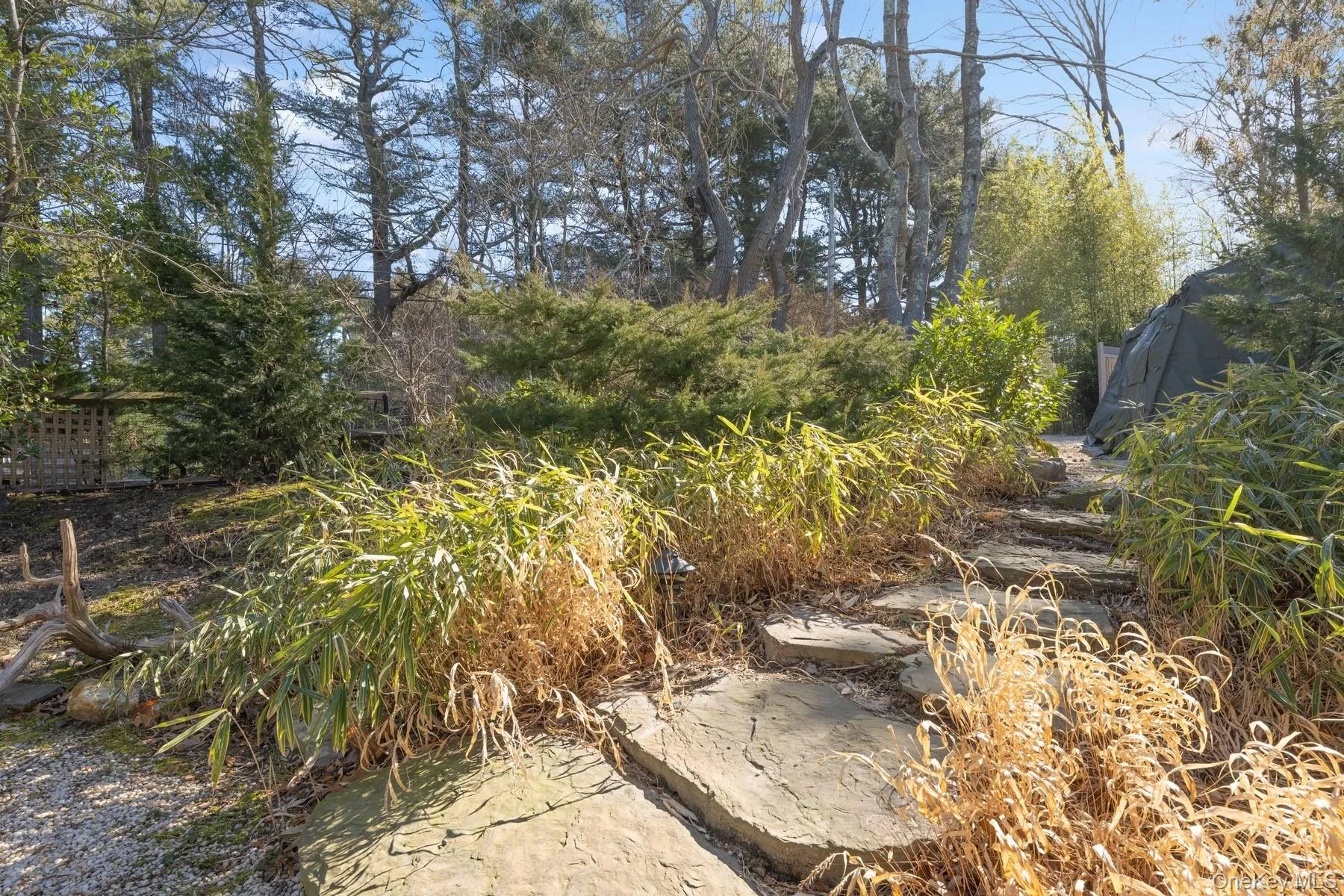View of yard View of yard
