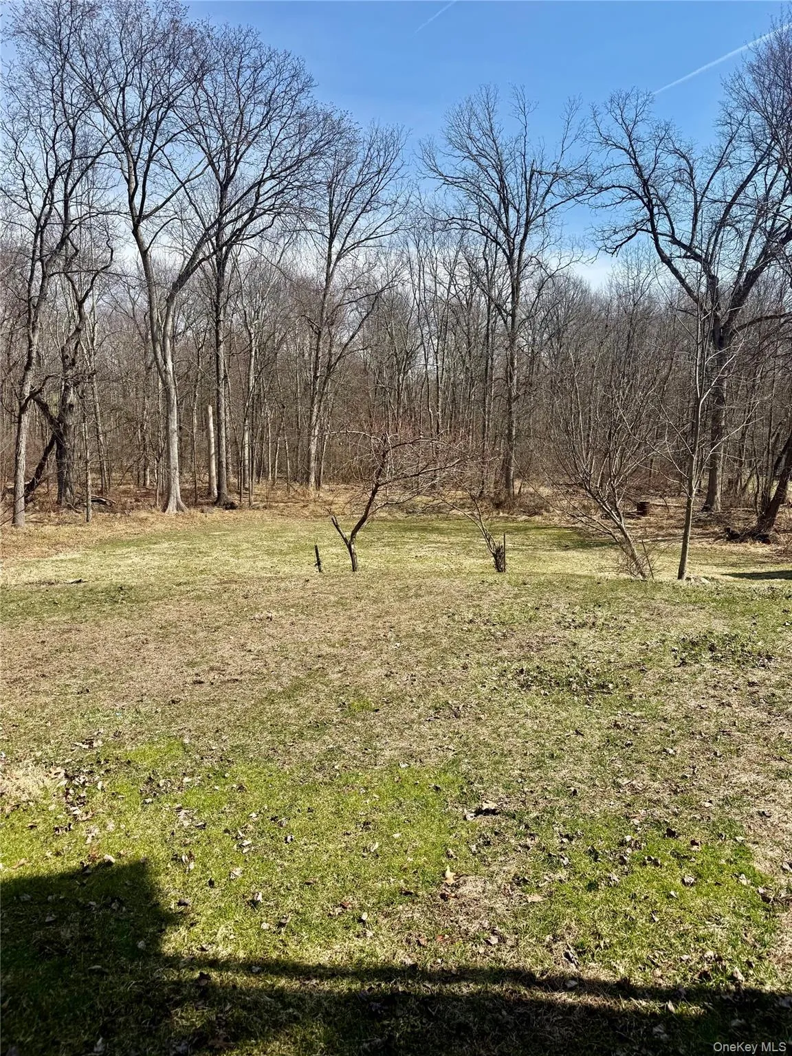 Use a backyard Use a backyard