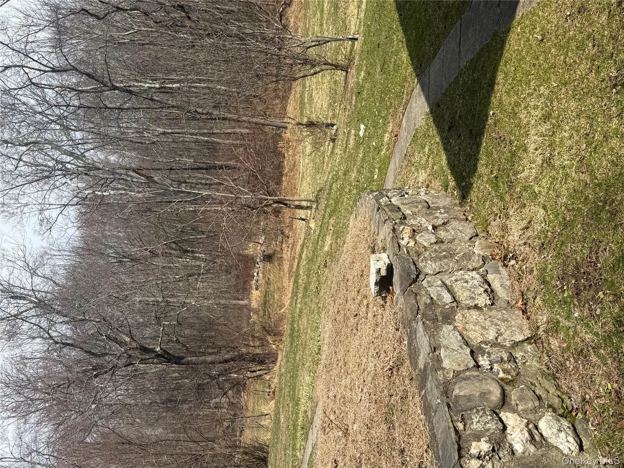 Use of backyard Use of backyard