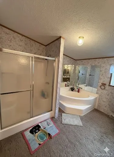 263 Mongaup Road, Fallsburg, NY, 3 Bedrooms Bedrooms, 7 Rooms Rooms,2 BathroomsBathrooms,Residential,For Rent,Mongaup,0,KEY959554 263 Mongaup Road, Fallsburg, NY, 3 Bedrooms Bedrooms, 7 Rooms Rooms,2 BathroomsBathrooms,Residential,For Rent,Mongaup,0,KEY959554