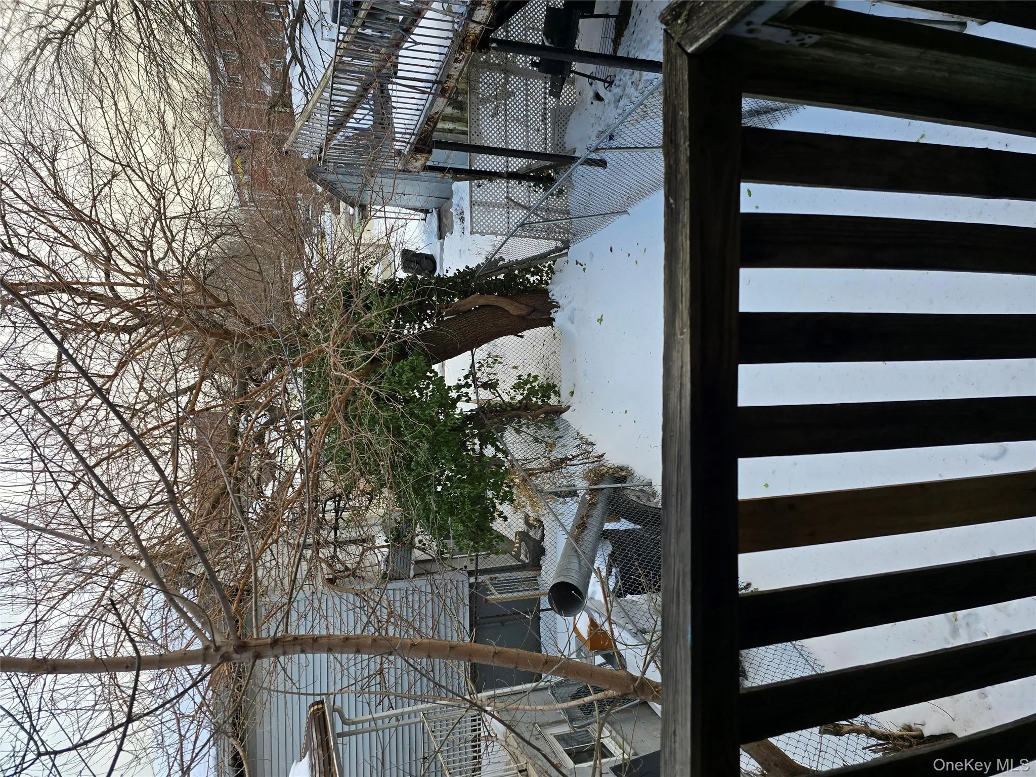 1792 Lacombe Avenue, New York, NY, 3 Bedrooms Bedrooms, 5 Rooms Rooms,1 BathroomBathrooms,Residential Lease,For Rent,Lacombe,0,959556 1792 Lacombe Avenue, New York, NY, 3 Bedrooms Bedrooms, 5 Rooms Rooms,1 BathroomBathrooms,Residential Lease,For Rent,Lacombe,0,959556