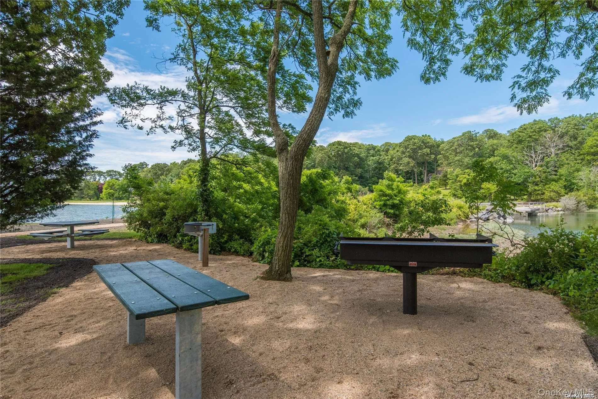 BBQ and Picnic Area BBQ and Picnic Area