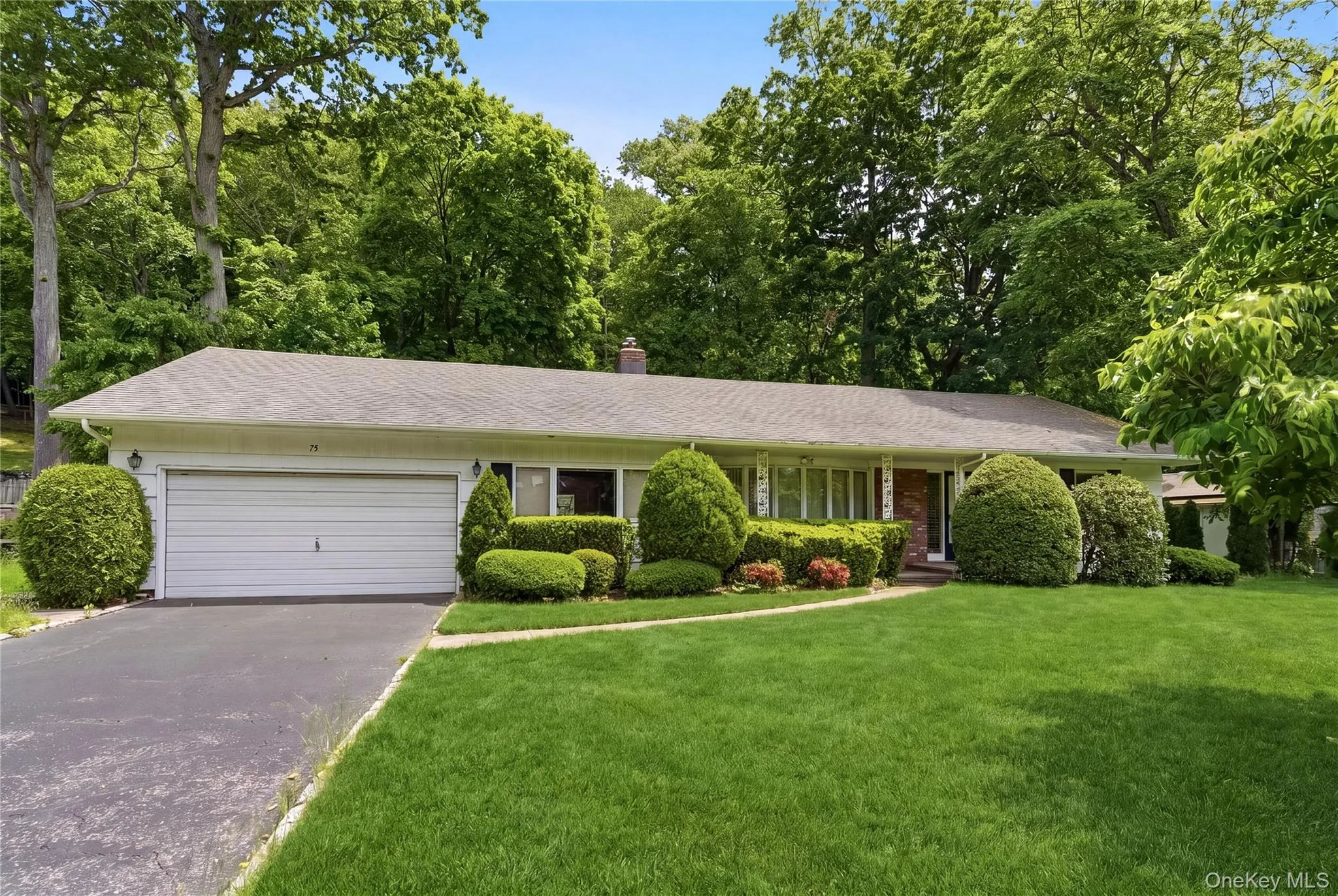 75 Mimosa Drive, North Hempstead, NY, 4 Bedrooms Bedrooms, 10 Rooms Rooms,3 BathroomsBathrooms,Residential Sale,For Rent,Mimosa,0,959737 75 Mimosa Drive, North Hempstead, NY, 4 Bedrooms Bedrooms, 10 Rooms Rooms,3 BathroomsBathrooms,Residential Sale,For Rent,Mimosa,0,959737
