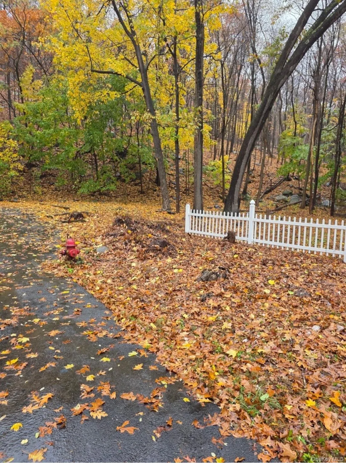 Louise Lane, Warwick (town), NY, ,Land,For Rent,Louise,0,959769 Louise Lane, Warwick (town), NY, ,Land,For Rent,Louise,0,959769