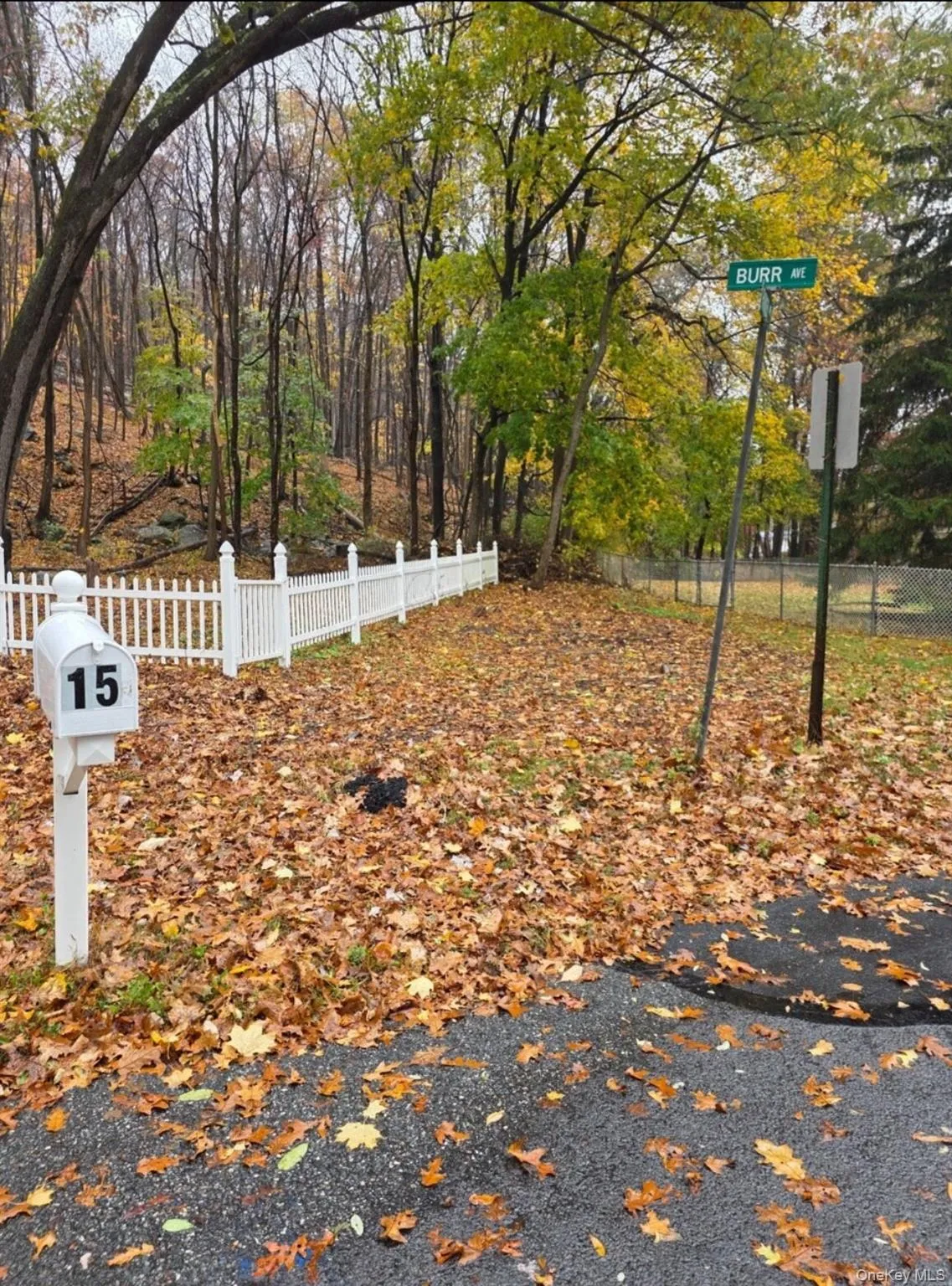 Louise Lane, Warwick (town), NY, ,Land,For Rent,Louise,0,959769 Louise Lane, Warwick (town), NY, ,Land,For Rent,Louise,0,959769