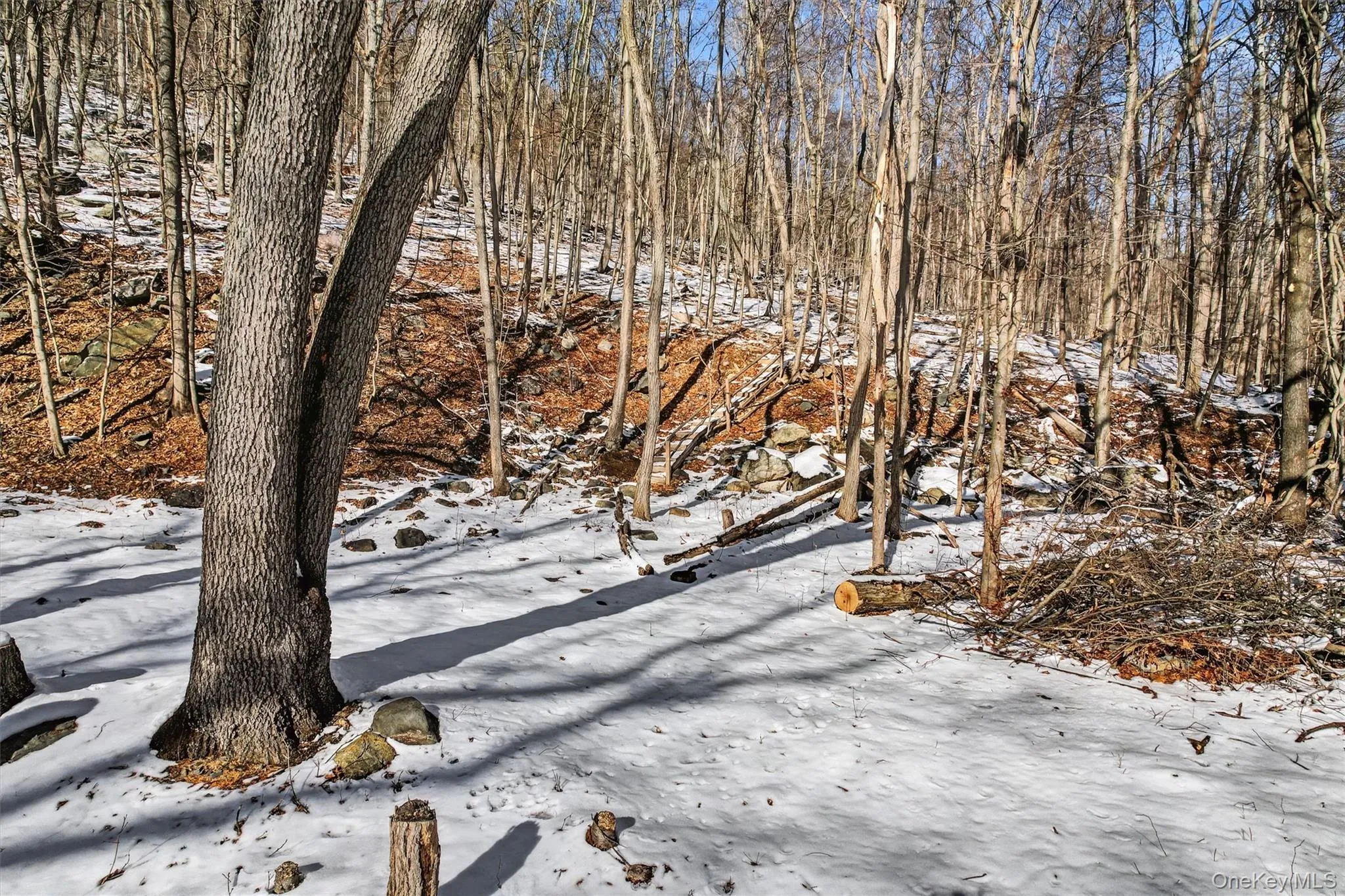 Louise Lane, Warwick (town), NY, ,Land,For Rent,Louise,0,959769 Louise Lane, Warwick (town), NY, ,Land,For Rent,Louise,0,959769