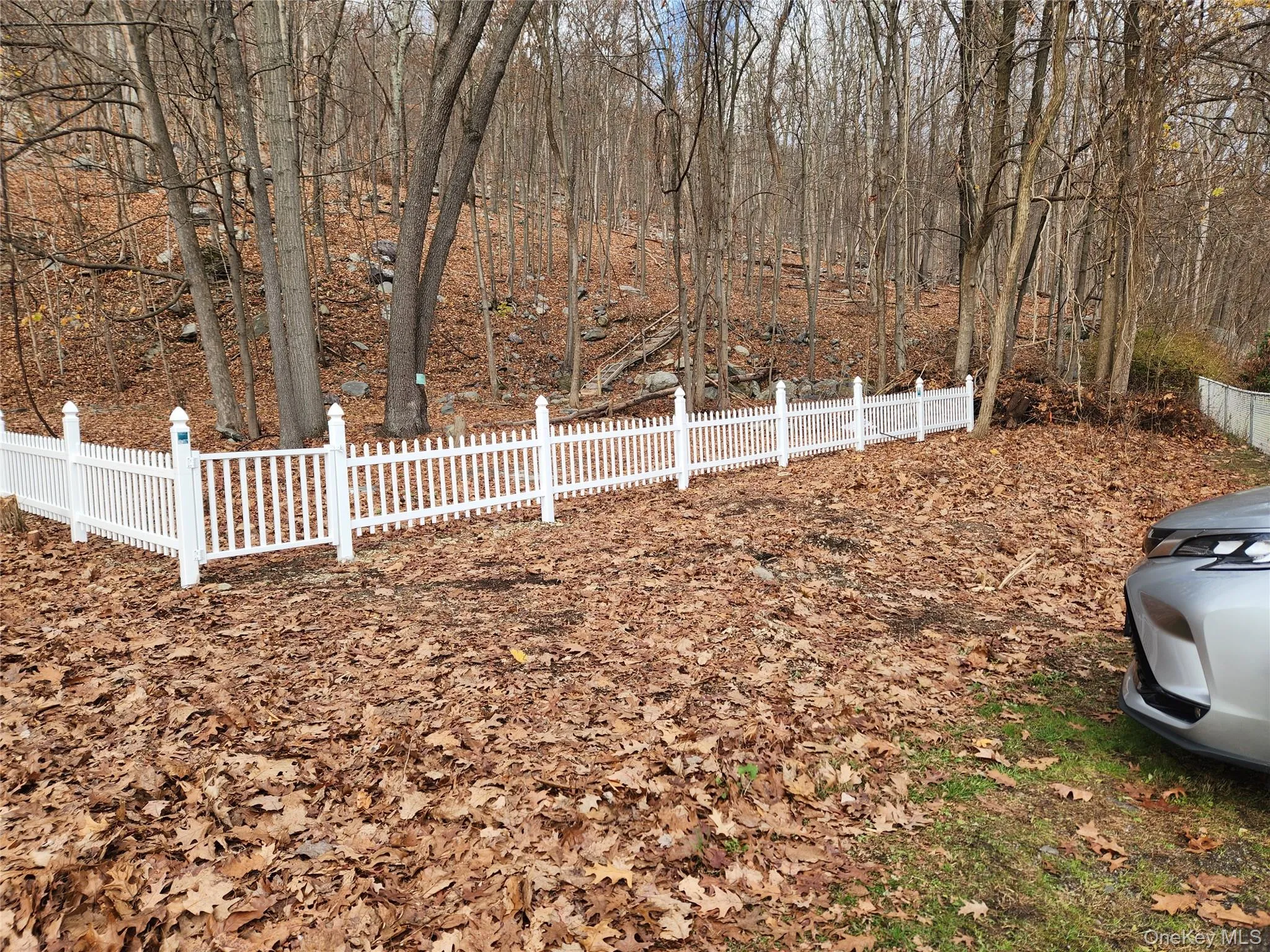 Louise Lane, Warwick (town), NY, ,Land,For Rent,Louise,0,959769 Louise Lane, Warwick (town), NY, ,Land,For Rent,Louise,0,959769