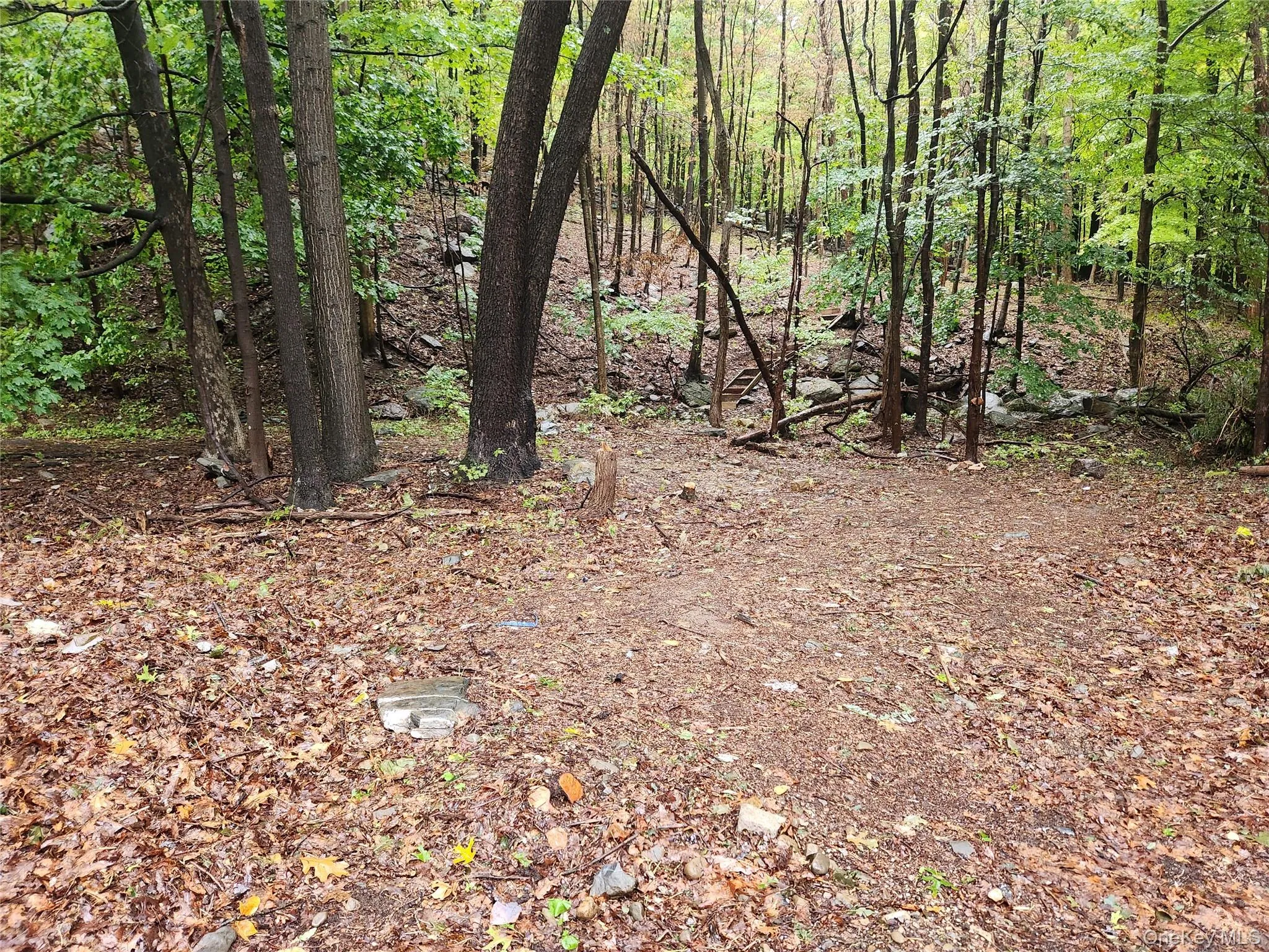 Louise Lane, Warwick (town), NY, ,Land,For Rent,Louise,0,959769 Louise Lane, Warwick (town), NY, ,Land,For Rent,Louise,0,959769