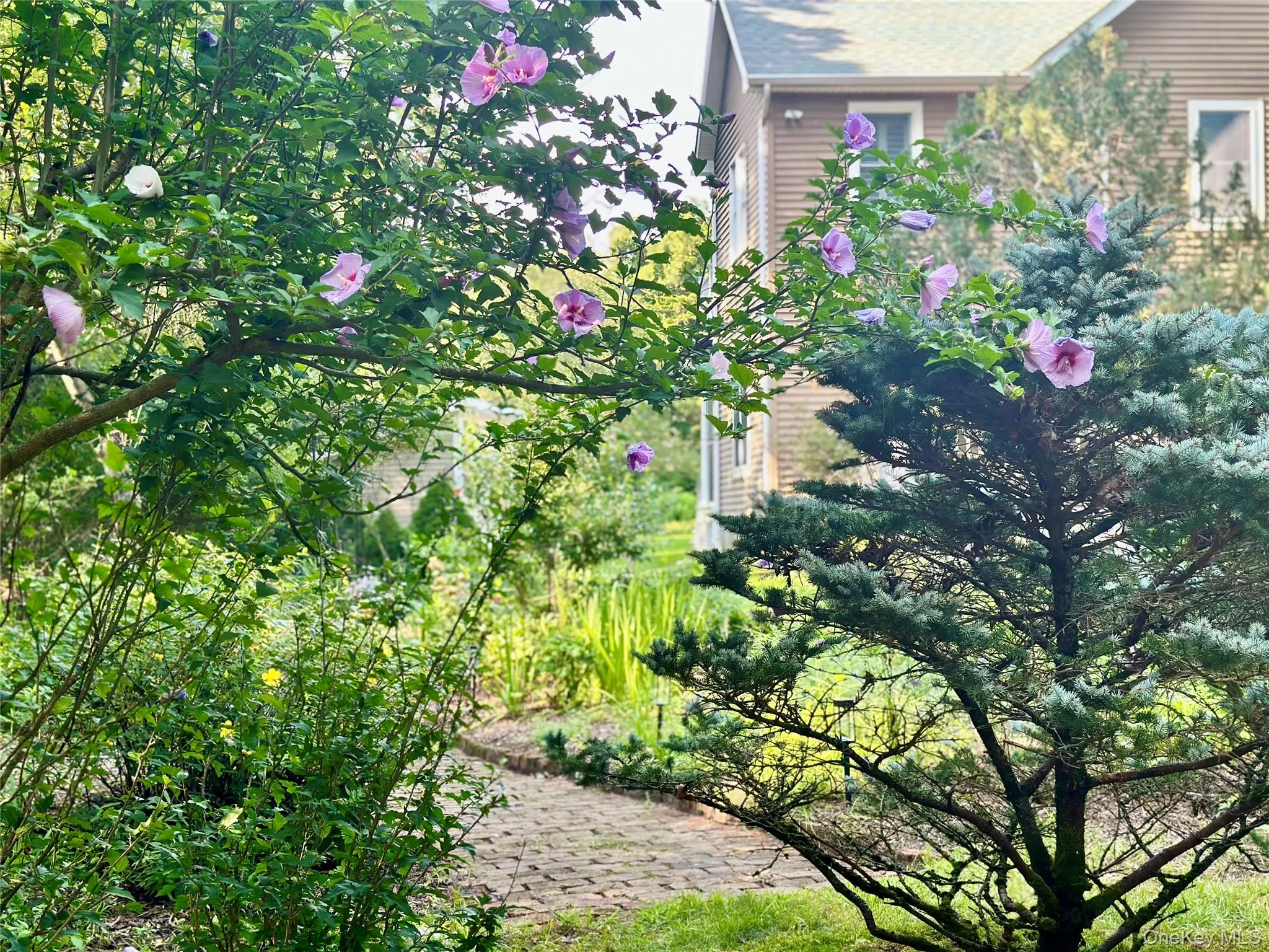 3 1st Place, Southampton, NY, 3 Bedrooms Bedrooms, 9 Rooms Rooms,3 BathroomsBathrooms,Residential Lease,For Rent,1st,0,959806 3 1st Place, Southampton, NY, 3 Bedrooms Bedrooms, 9 Rooms Rooms,3 BathroomsBathrooms,Residential Lease,For Rent,1st,0,959806