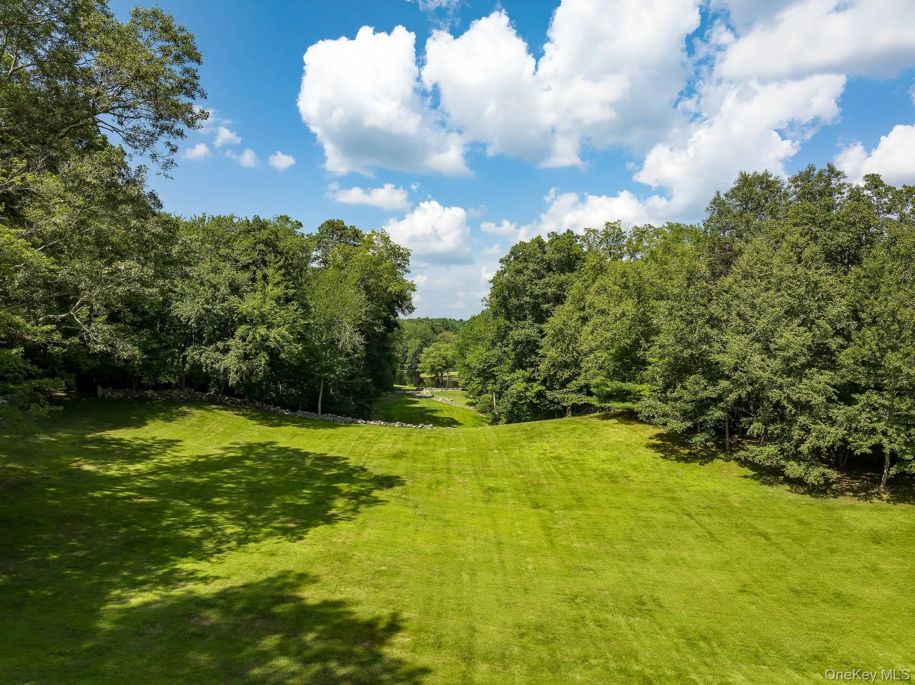 LAWN LAWN