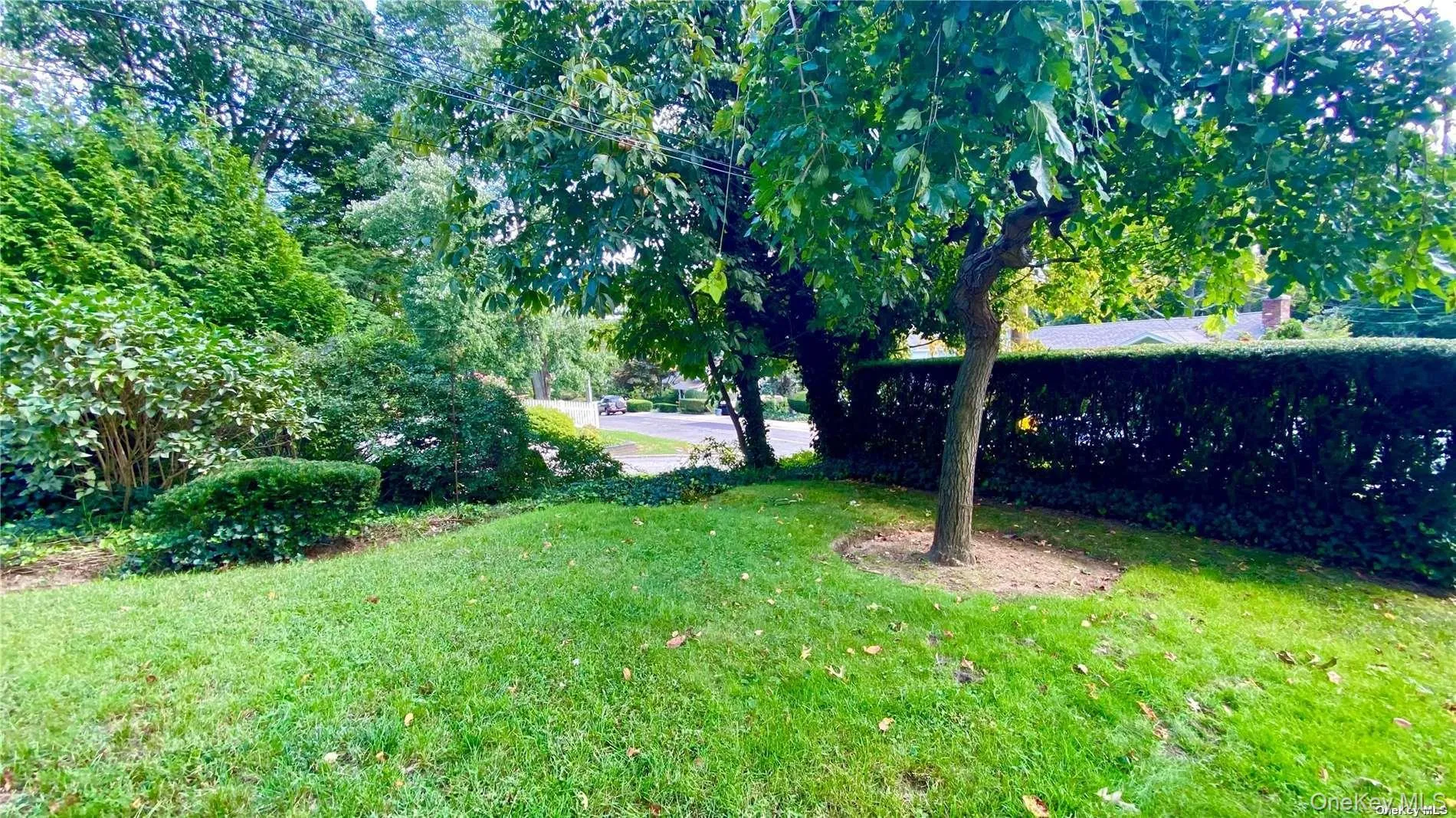 55 Davis Street, Oyster Bay, NY, 2 Bedrooms Bedrooms, 5 Rooms Rooms,1 BathroomBathrooms,Residential Lease,For Rent,Davis,0,960004 55 Davis Street, Oyster Bay, NY, 2 Bedrooms Bedrooms, 5 Rooms Rooms,1 BathroomBathrooms,Residential Lease,For Rent,Davis,0,960004