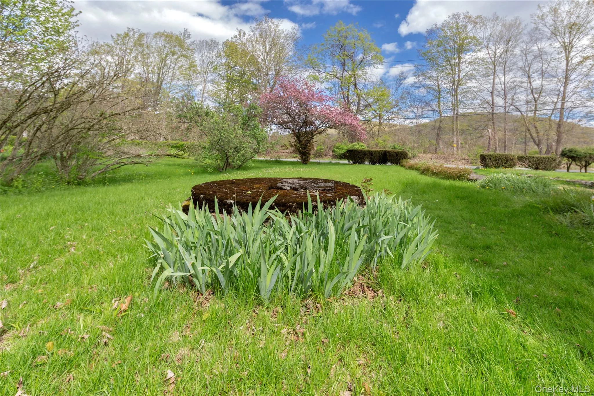 113 Dog Tail Corners Road, Dover, NY, 3 Bedrooms Bedrooms, 5 Rooms Rooms,1 BathroomBathrooms,Residential,For Rent,Dog Tail Corners,0,KEY960070 113 Dog Tail Corners Road, Dover, NY, 3 Bedrooms Bedrooms, 5 Rooms Rooms,1 BathroomBathrooms,Residential,For Rent,Dog Tail Corners,0,KEY960070