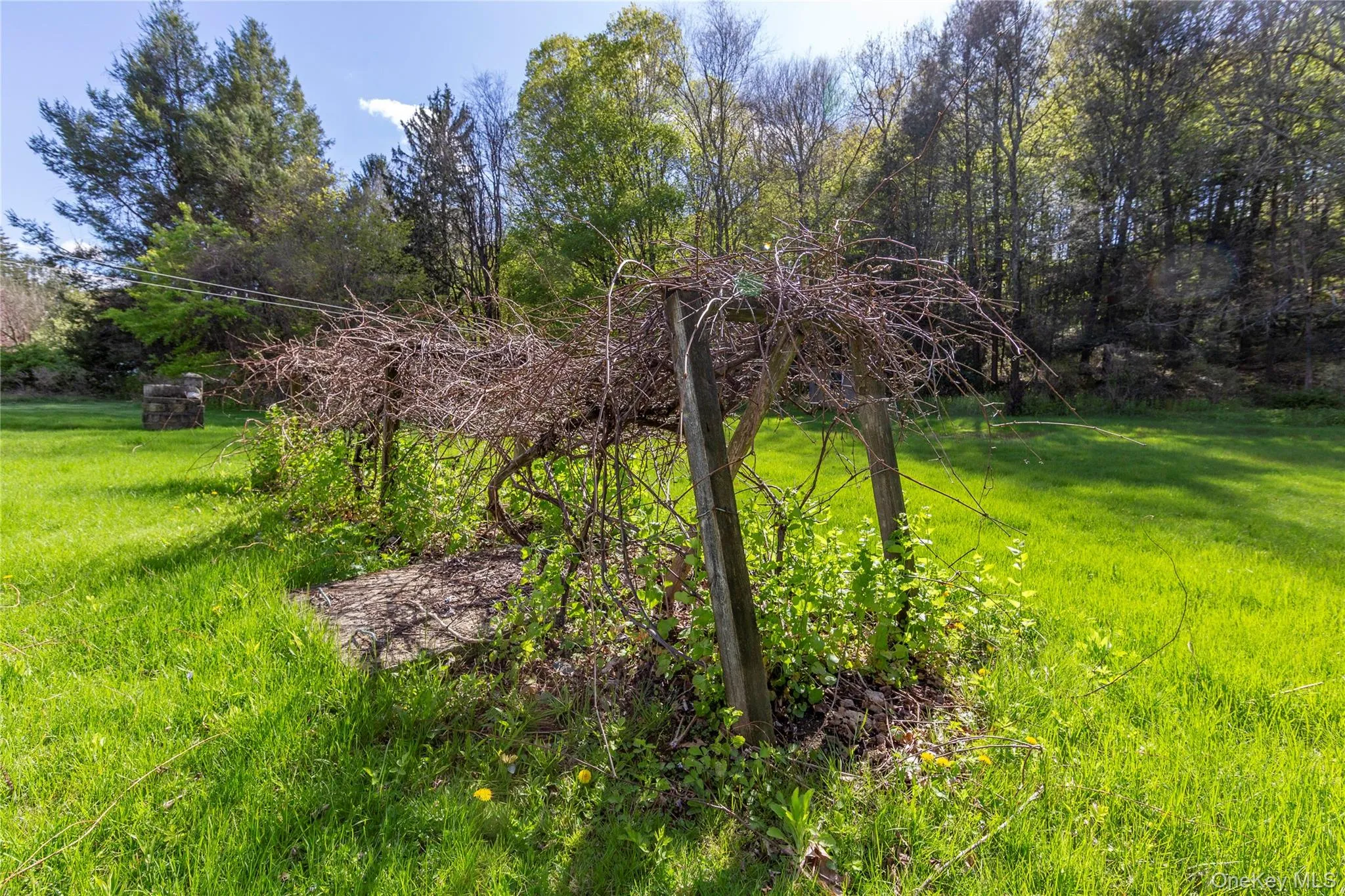 113 Dog Tail Corners Road, Dover, NY, 3 Bedrooms Bedrooms, 5 Rooms Rooms,1 BathroomBathrooms,Residential,For Rent,Dog Tail Corners,0,KEY960070 113 Dog Tail Corners Road, Dover, NY, 3 Bedrooms Bedrooms, 5 Rooms Rooms,1 BathroomBathrooms,Residential,For Rent,Dog Tail Corners,0,KEY960070
